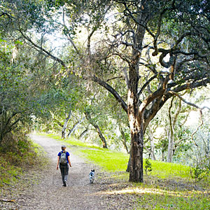 Garland Ranch Regional Park
