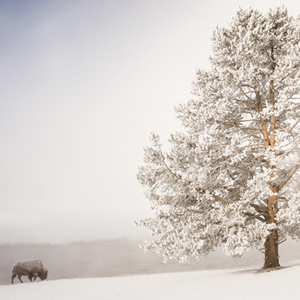 Montana. It’s Time.