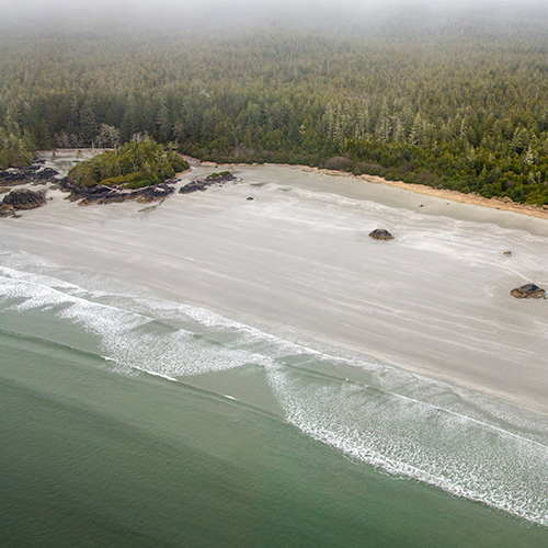 Beaches of Tofino