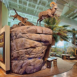 San Diego Natural History Museum