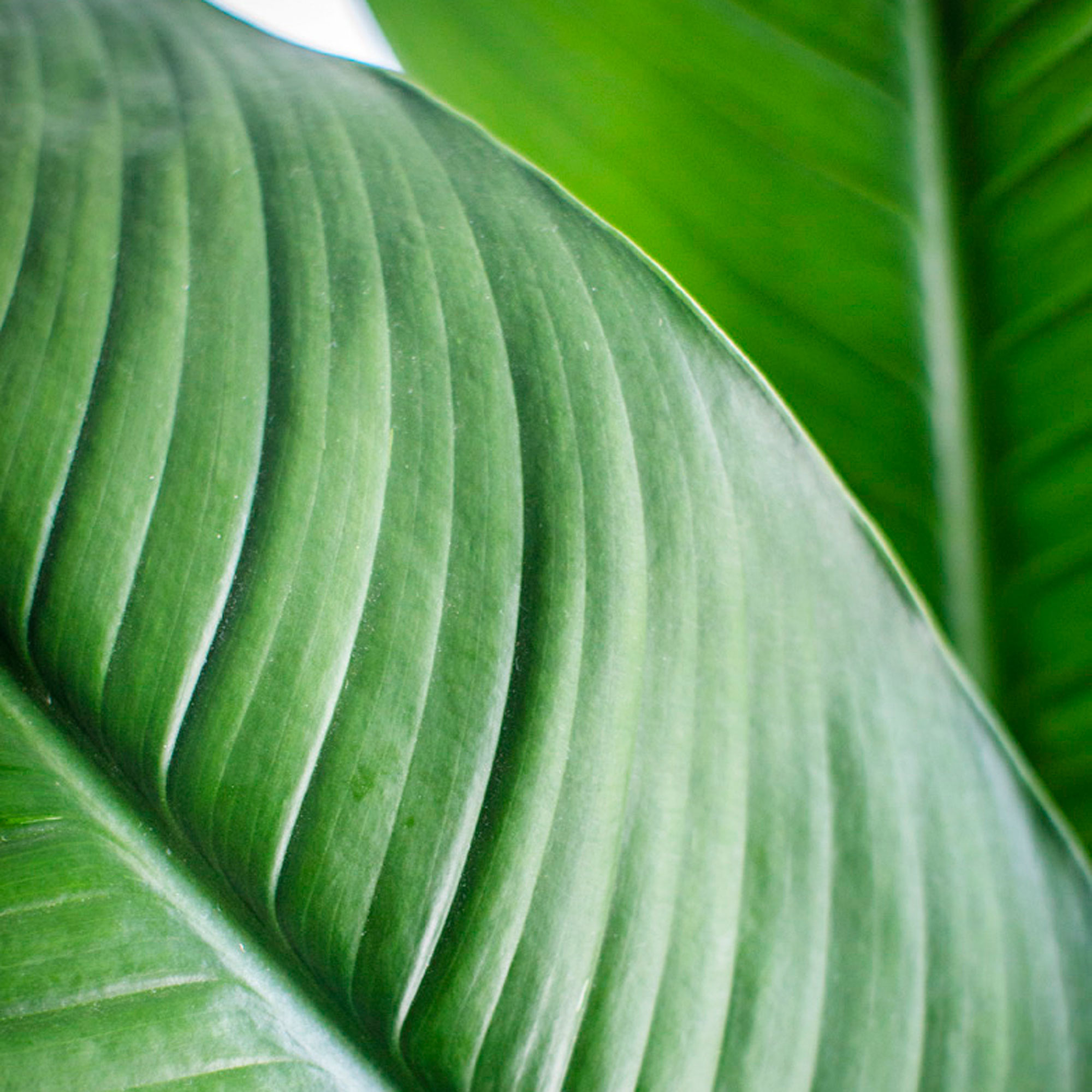 set-it-up-just-right