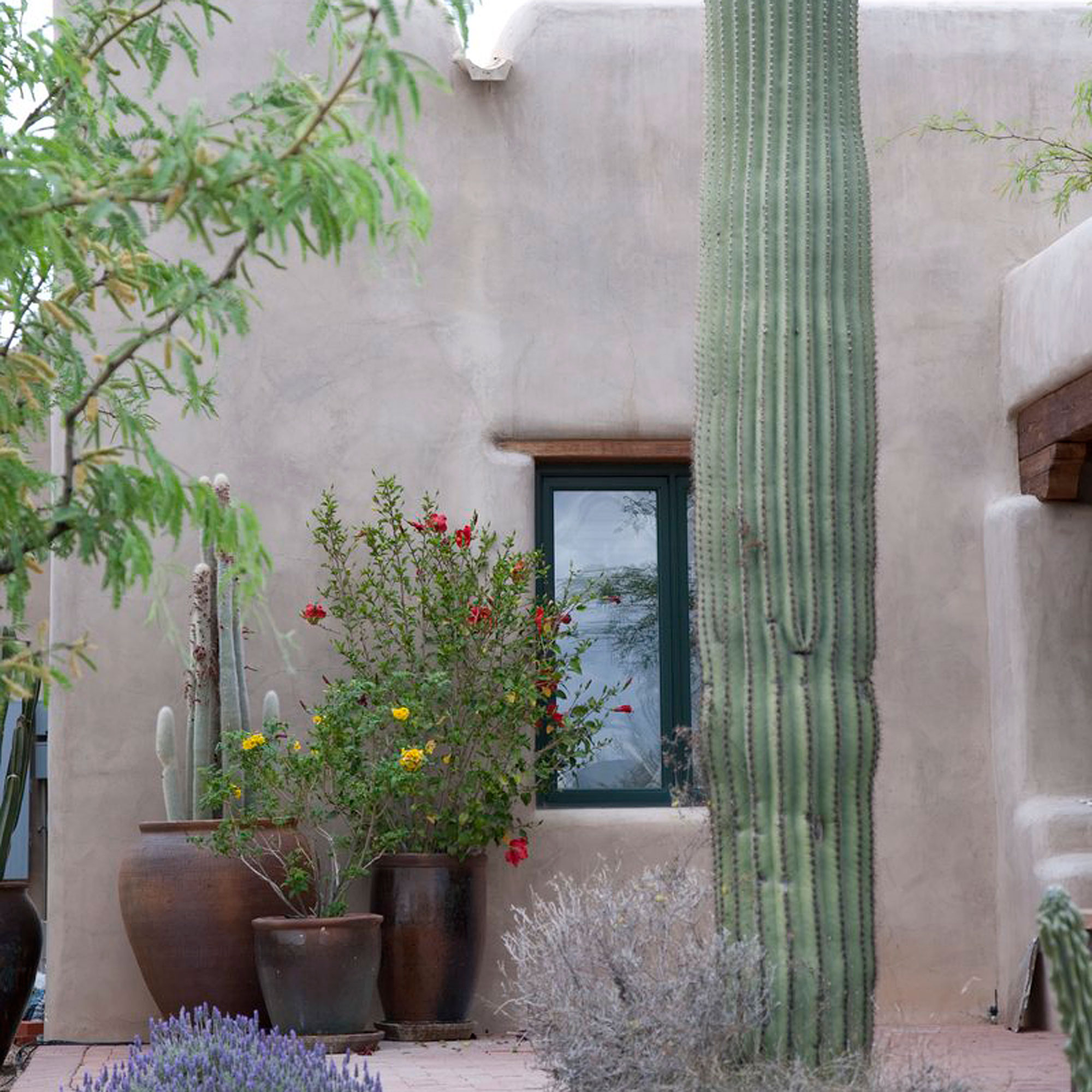 give-them-center-stage