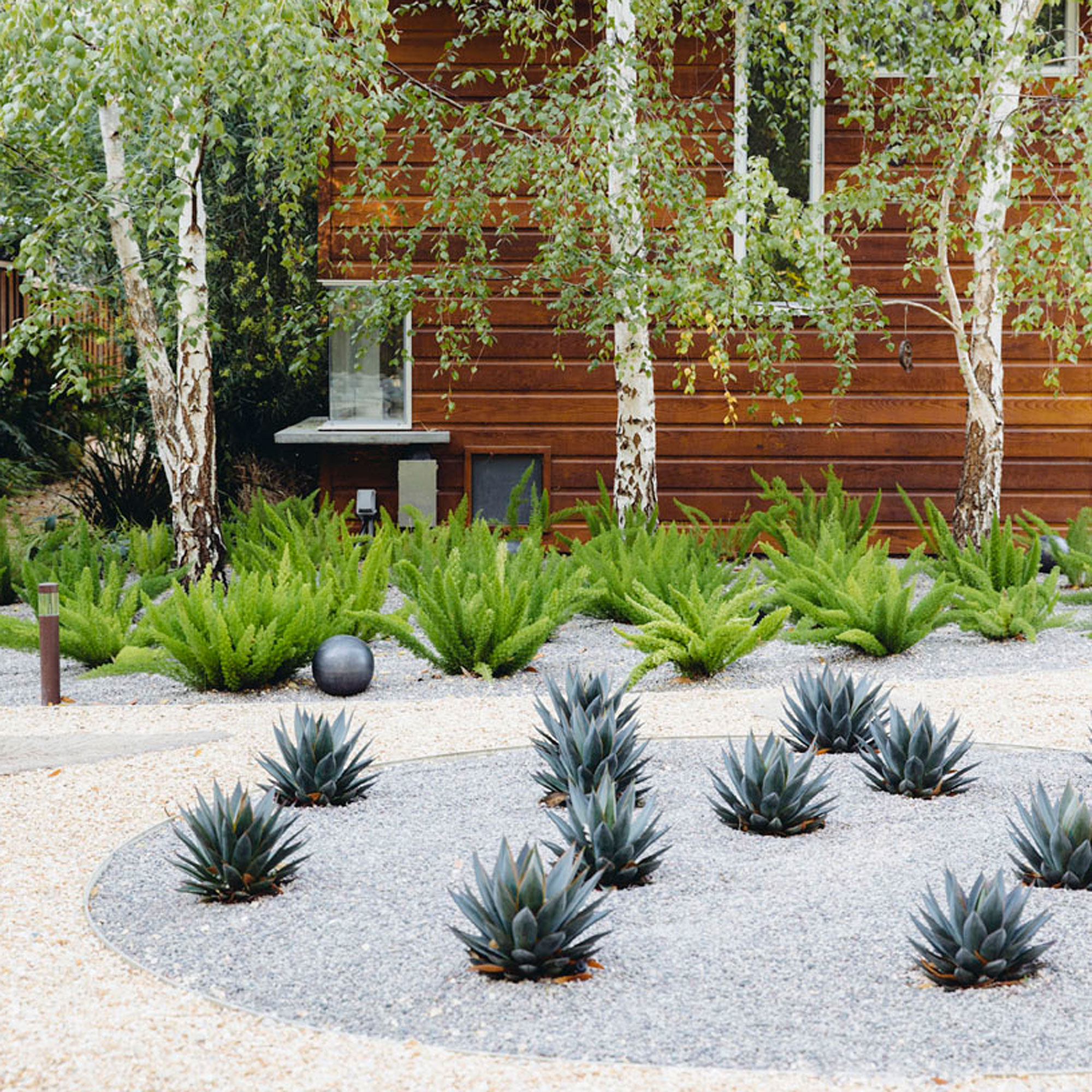 9 Ways to Design with Cactus - Sunset Magazine