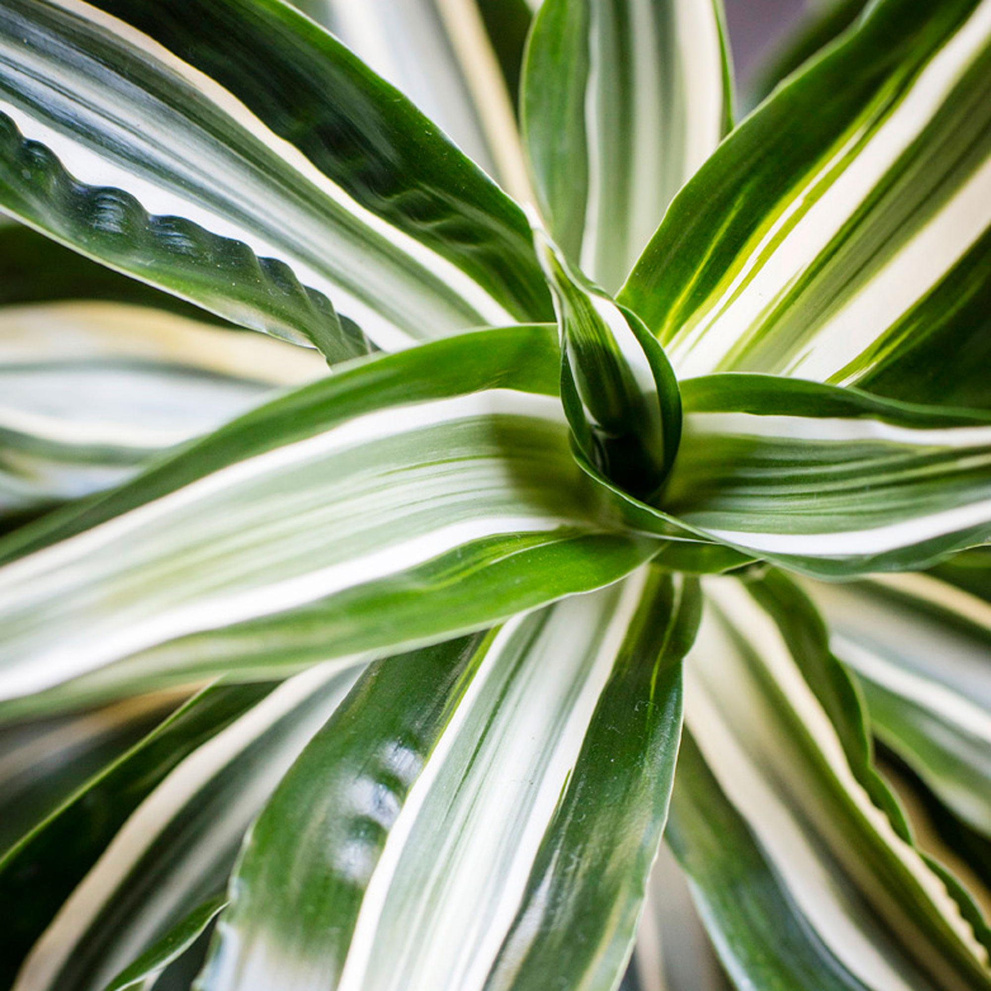 keep-good-grooming-habits