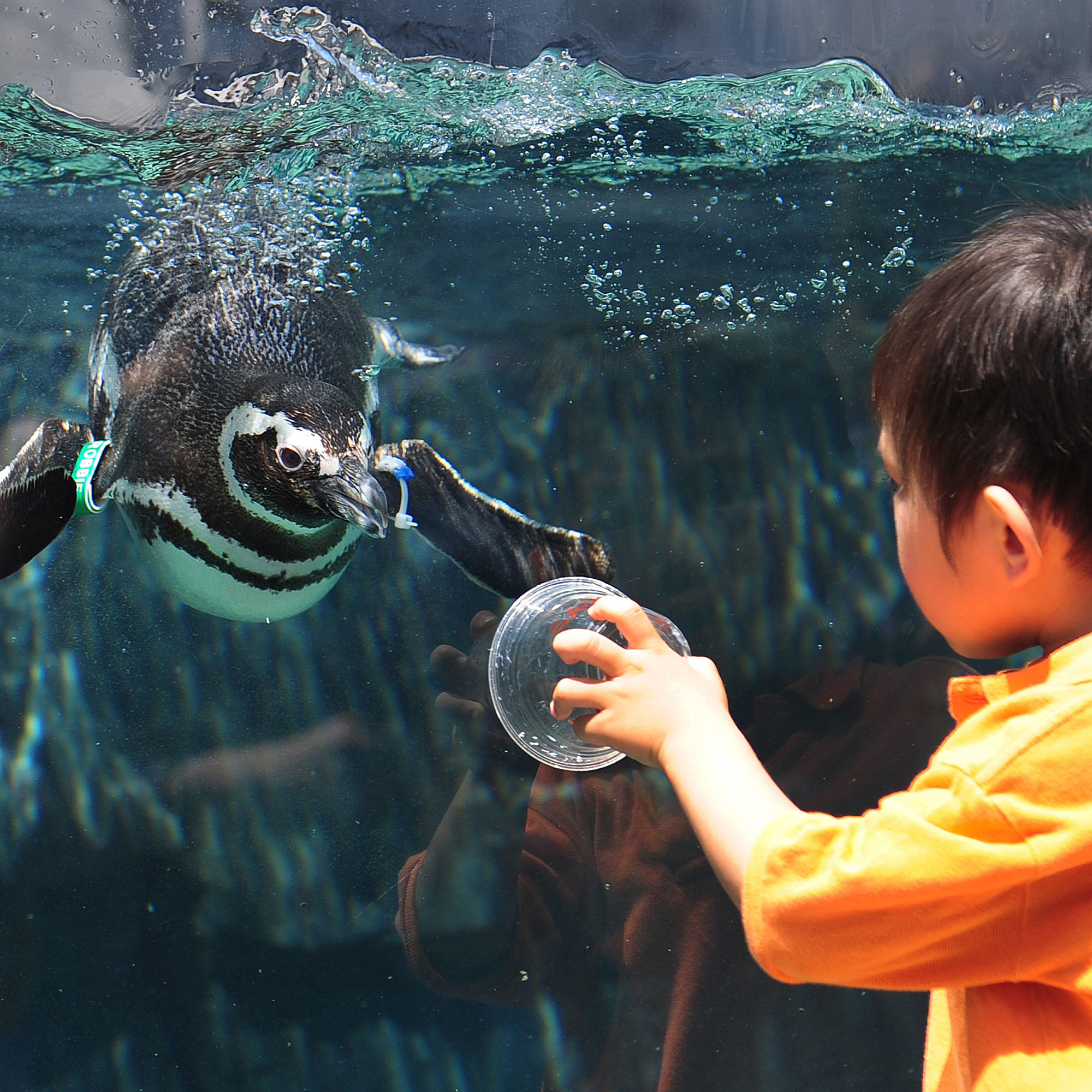 Port Guide: Long Beach, California