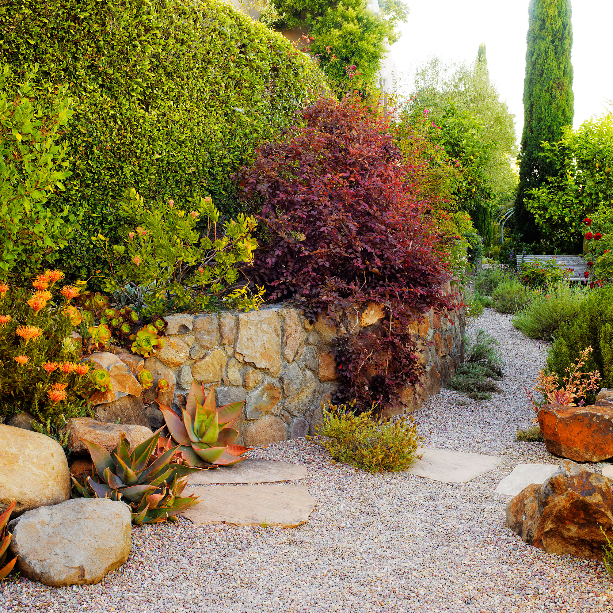 for-bolder-boulders-add-plantings