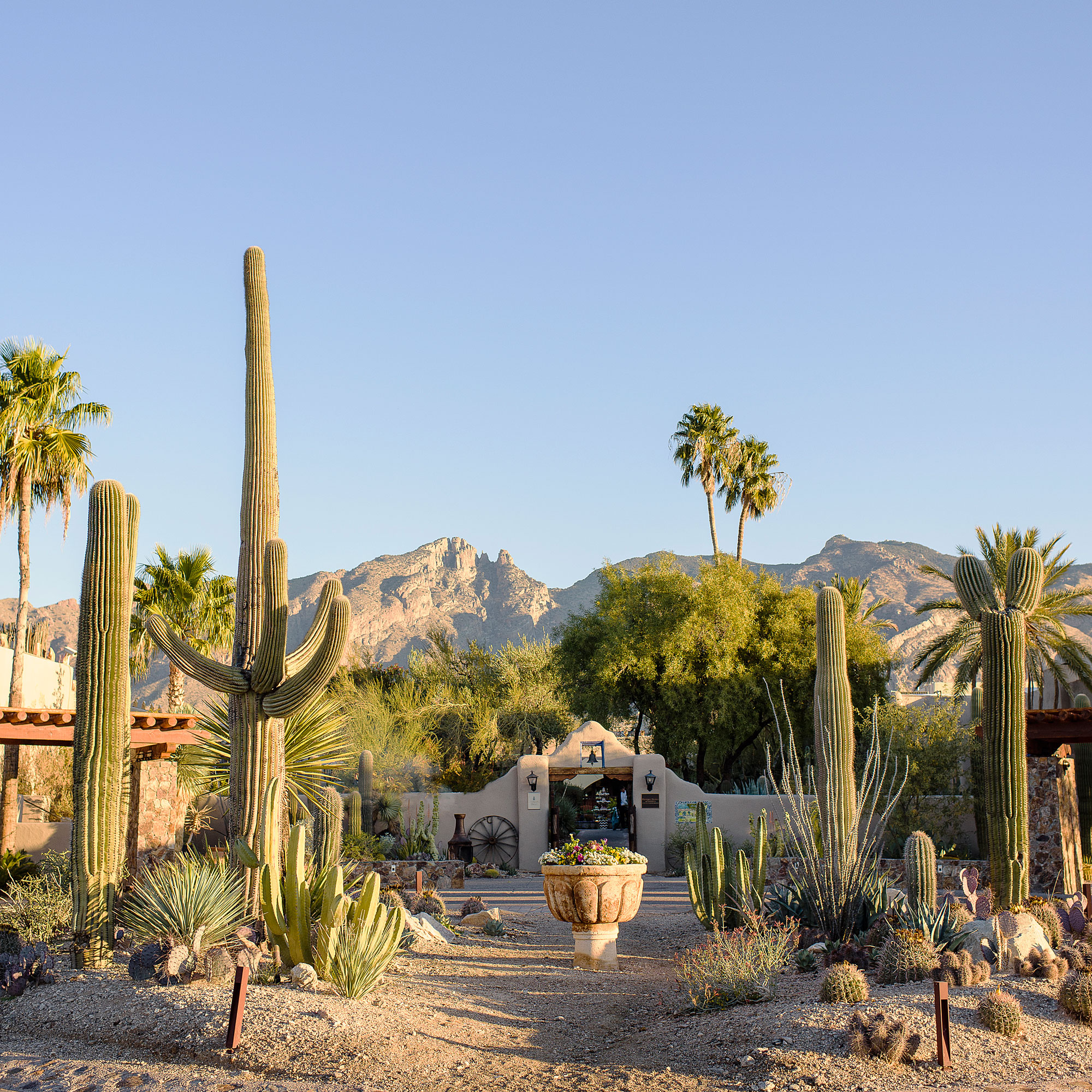 Wine-Tasting Weekend in Arizona