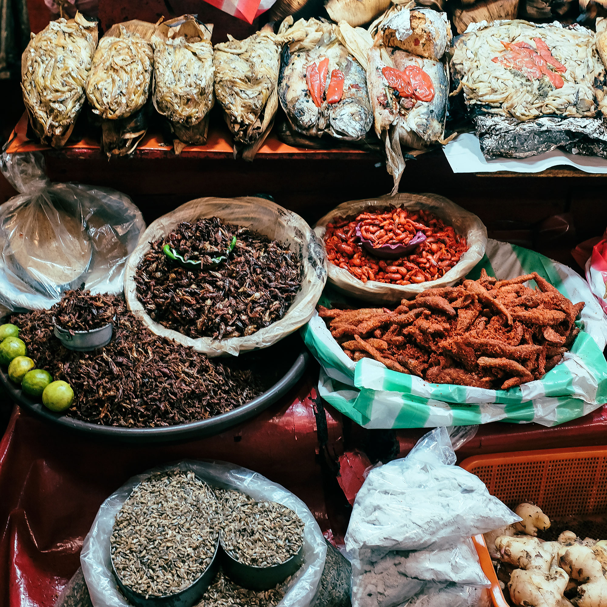 the-epic-market-tour