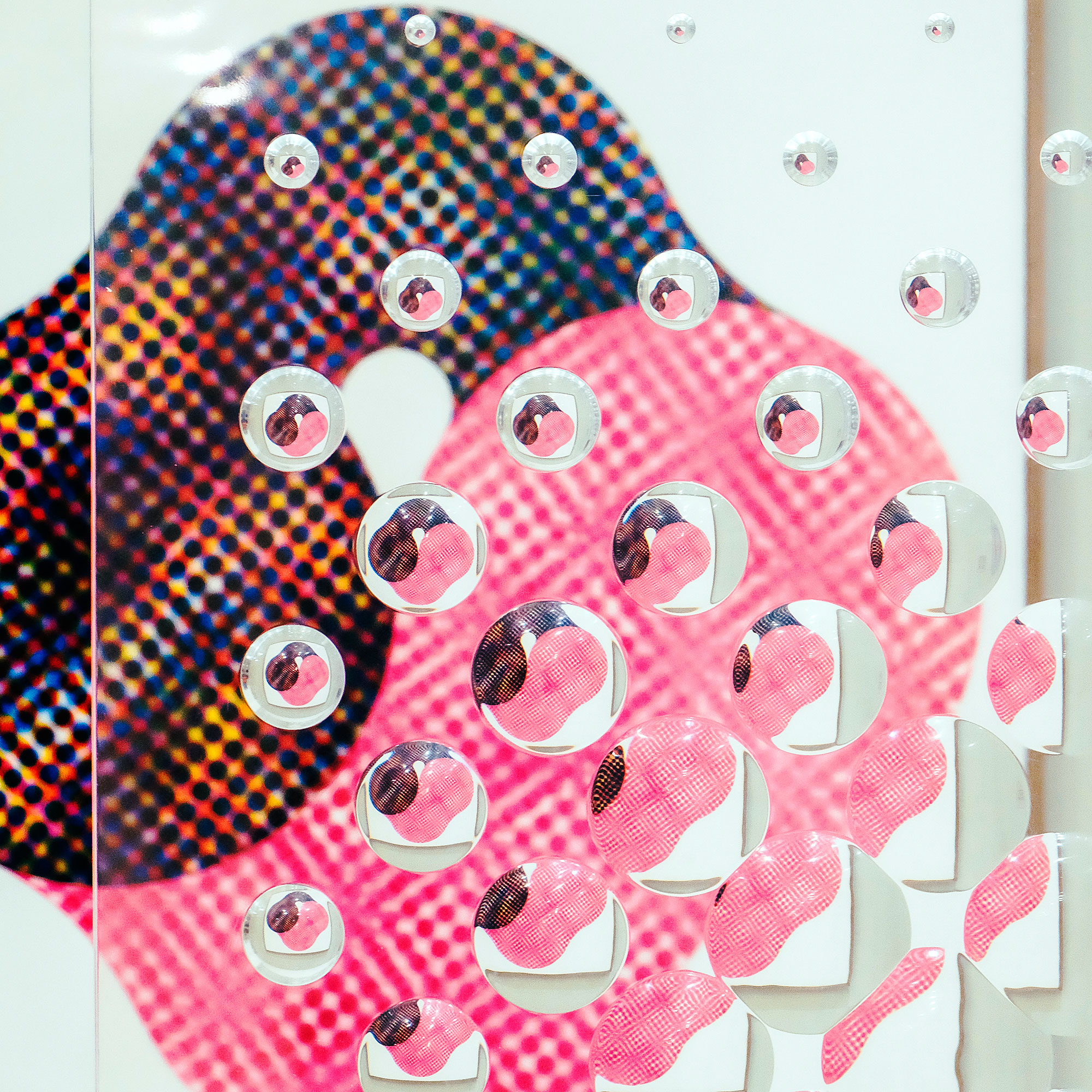 the-curated-collection