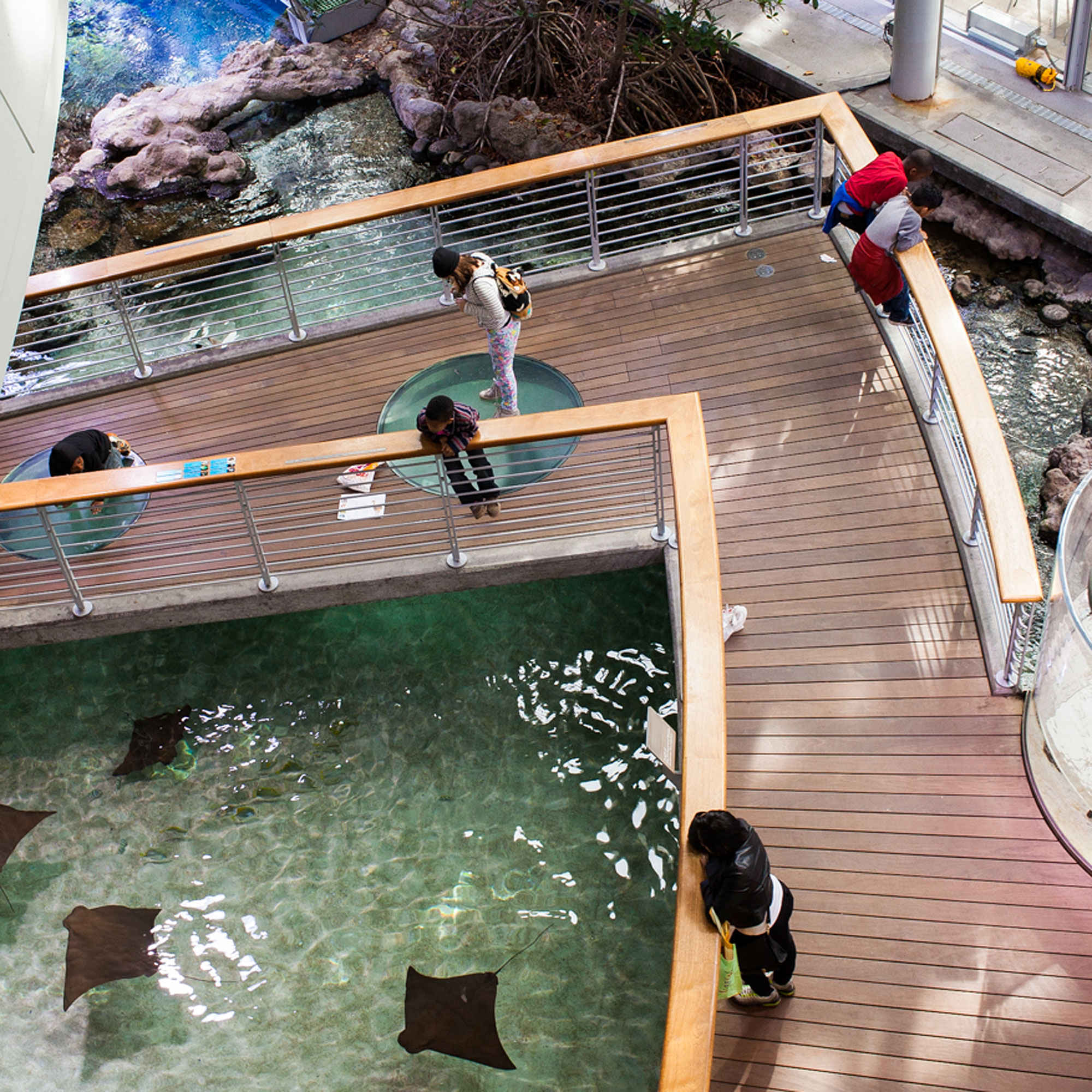 california-academy-of-sciences-san-francisco-ca