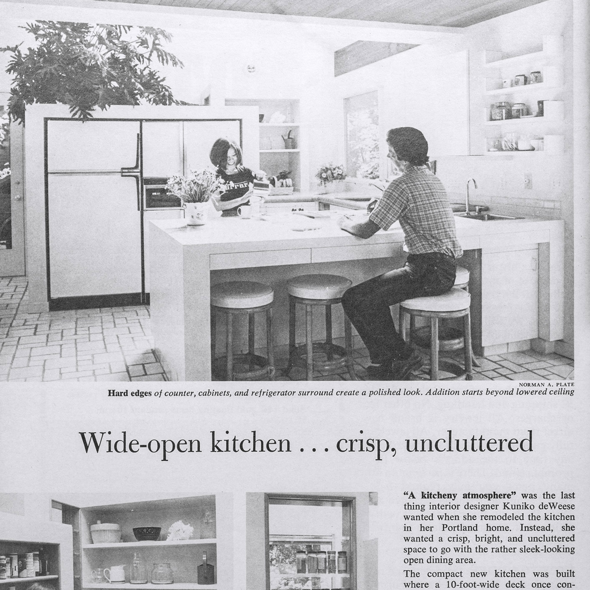 reimagined-home-inspiration-open-kitchen