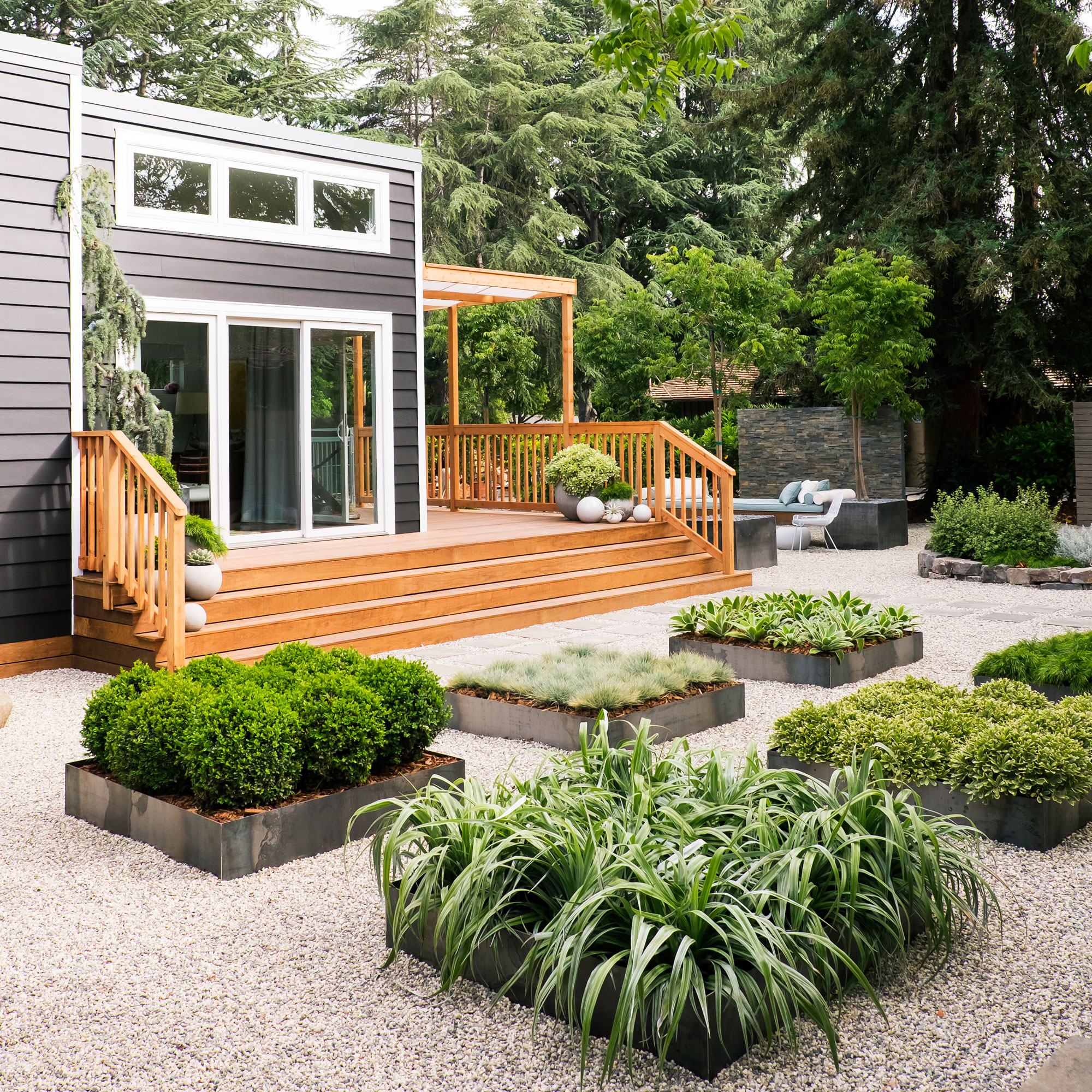 backyard-cottage-and-low-water-yard