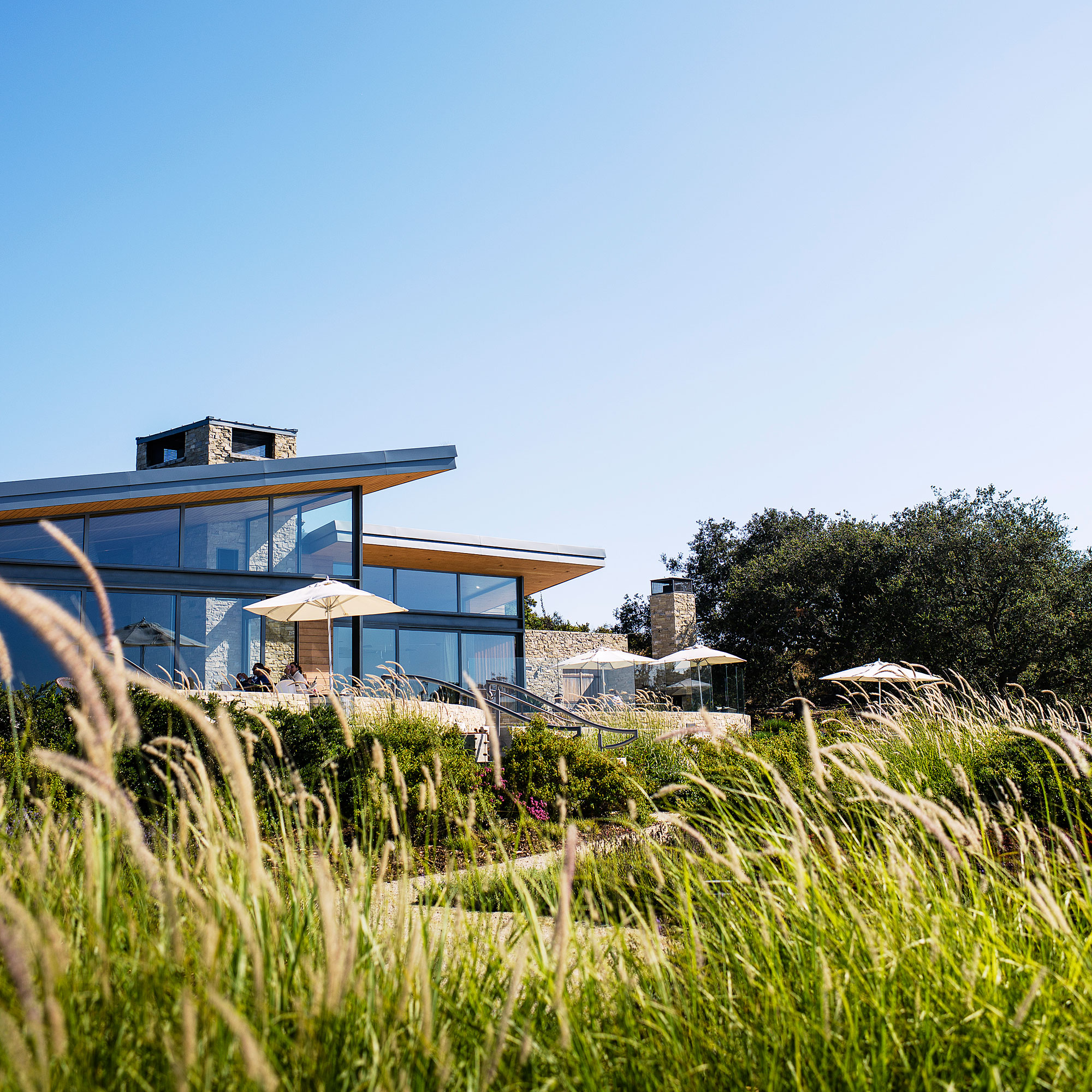 wine-presquile-winery