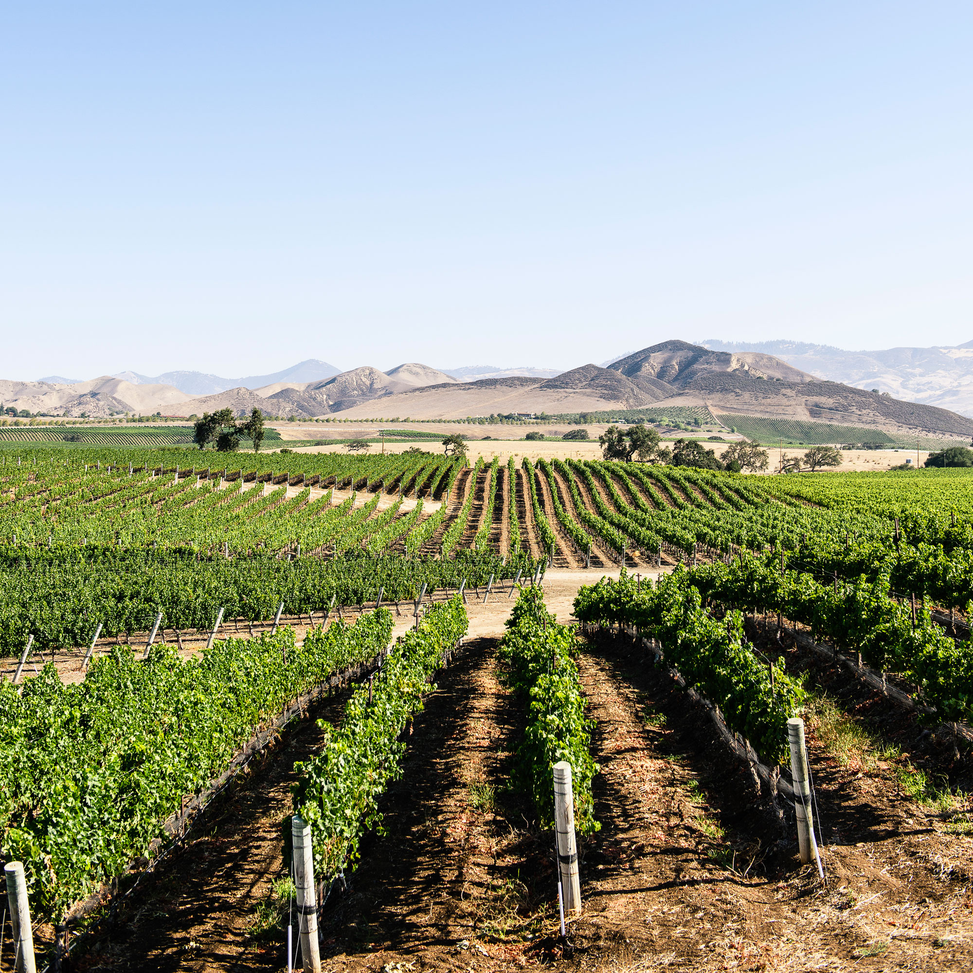 Electric Car Road Trips to Wine Country