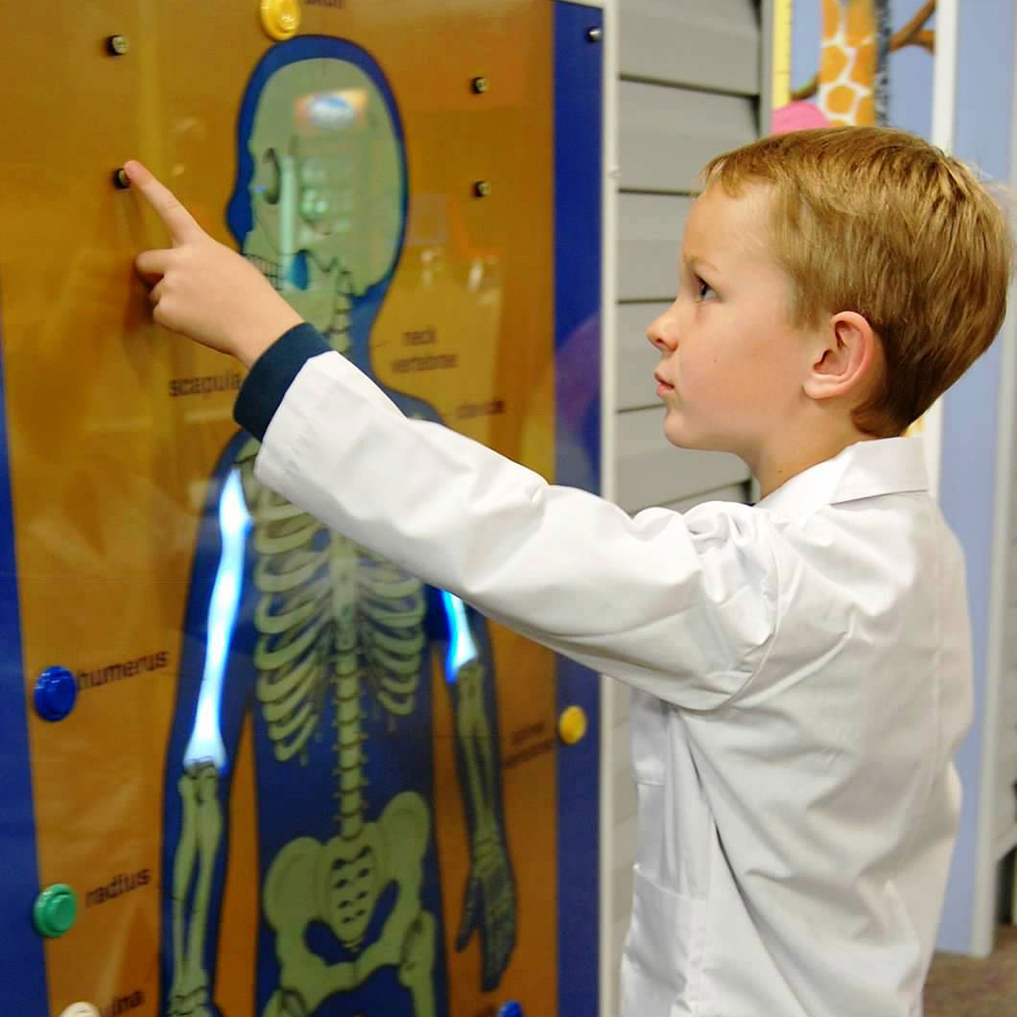 world-of-wonders-wow-science-museum-lodi-ca