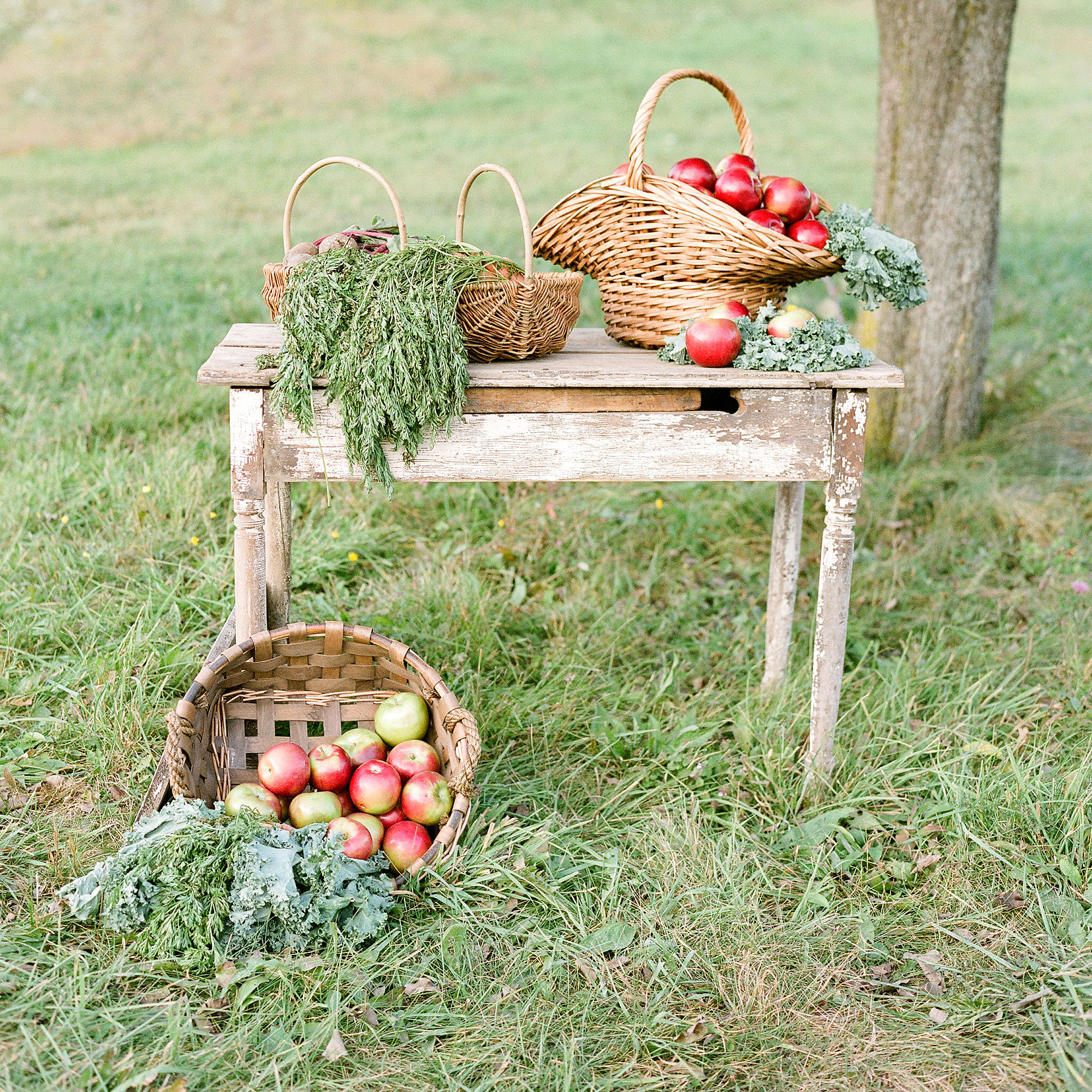 apple-baskets