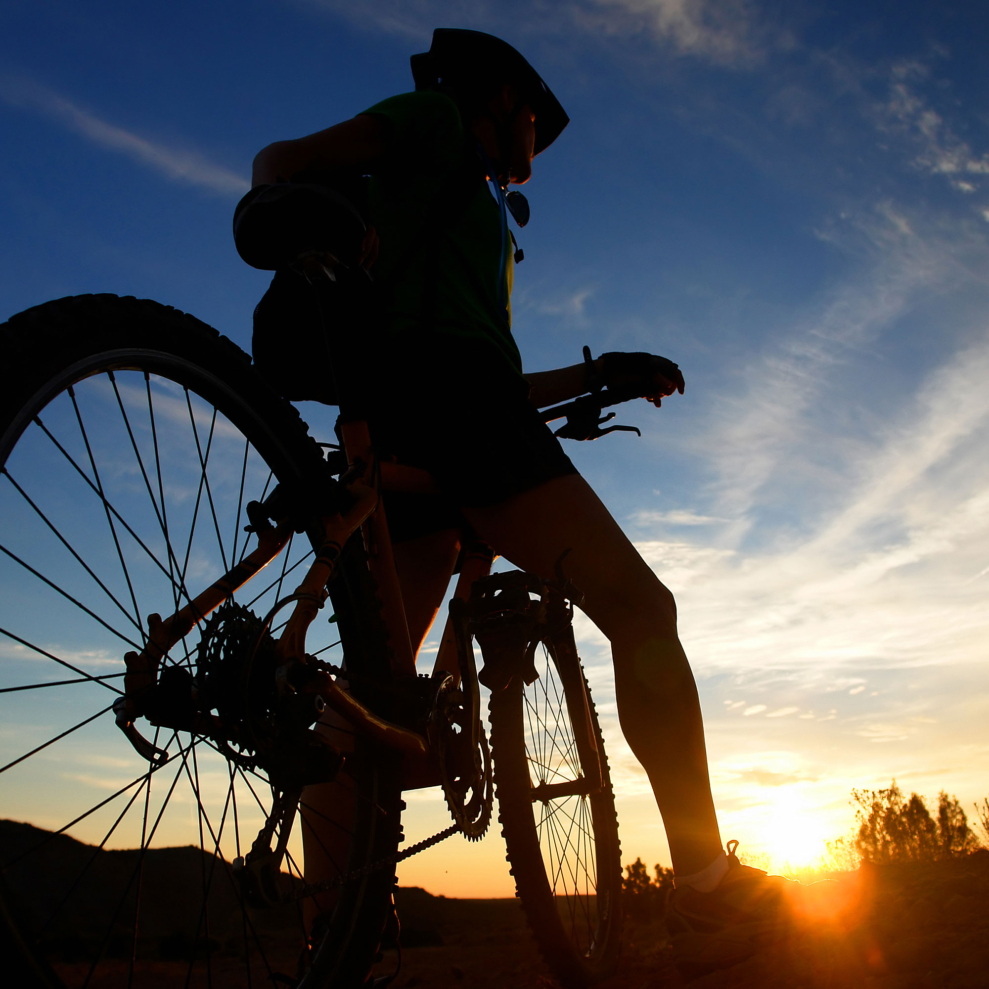 mountain-bike-slickrock