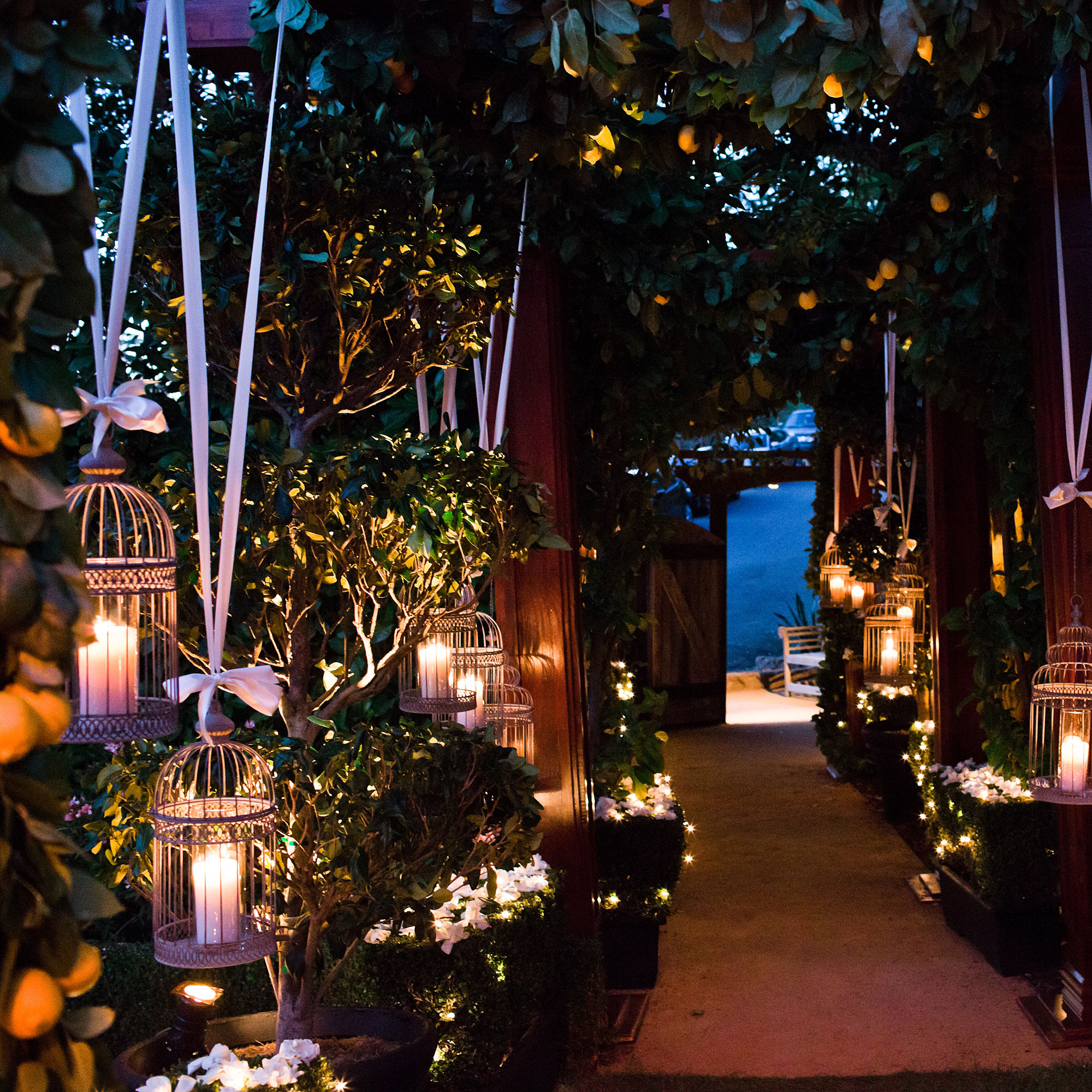 candles-in-birdcages