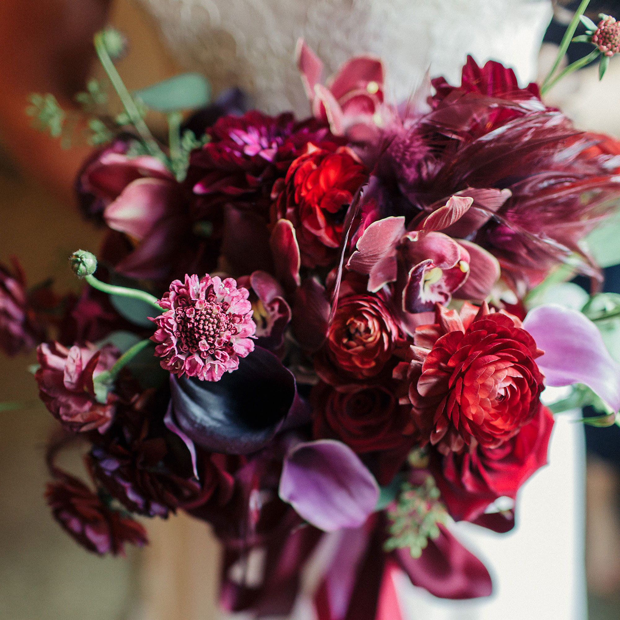 feather-infused-reds