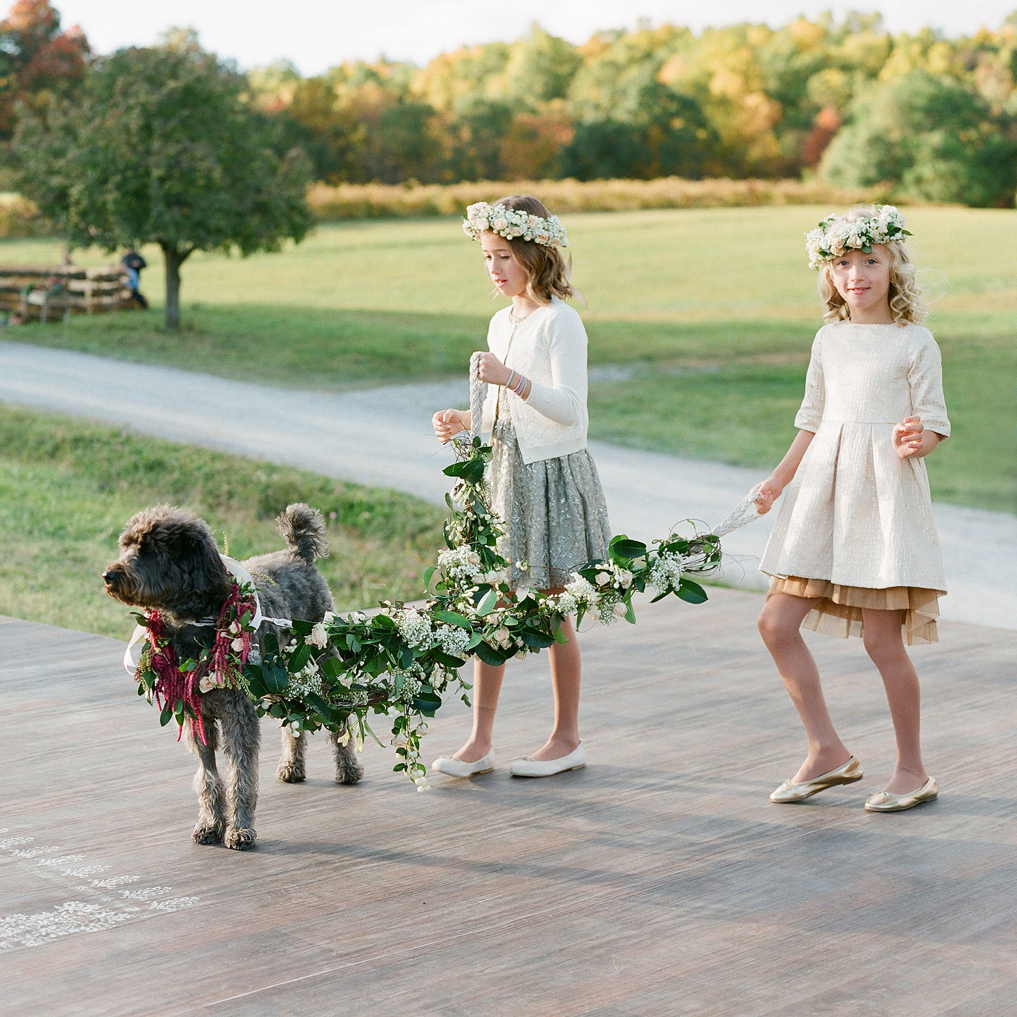 flower-draped-dog-leash