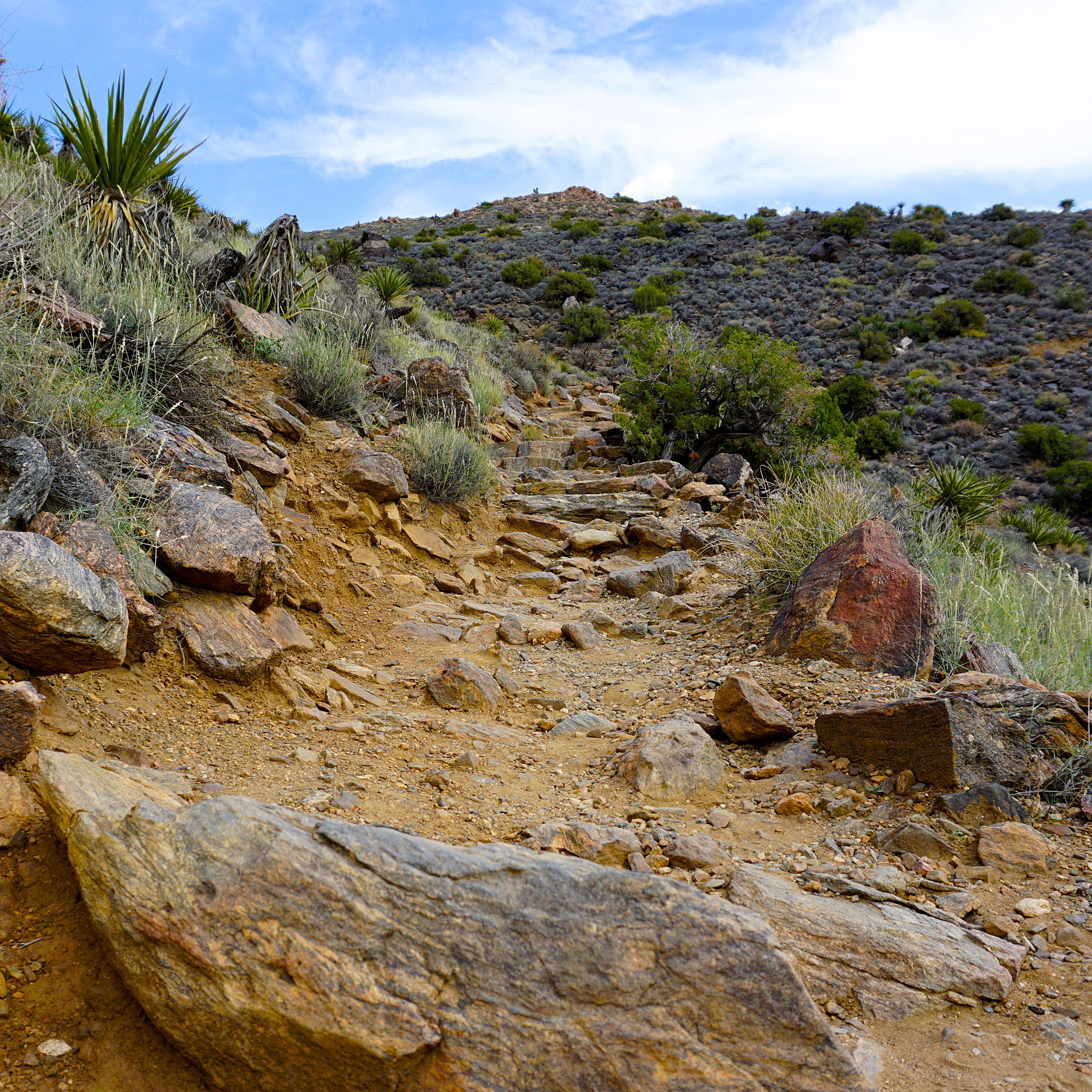 climb-every-mountain-or-a-couple