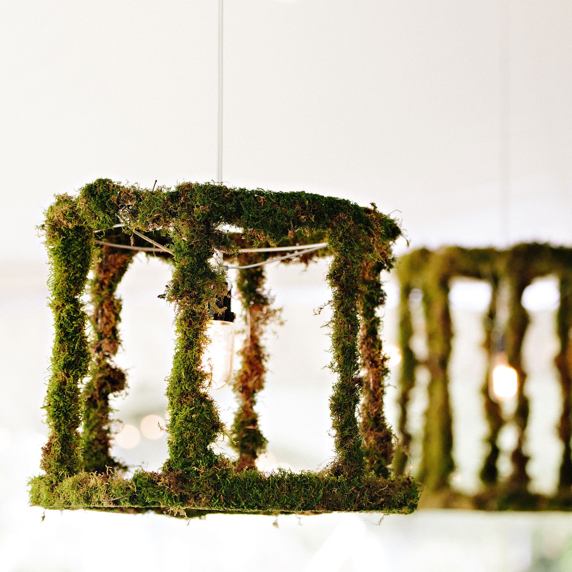 moss-cage-outdoor-lights