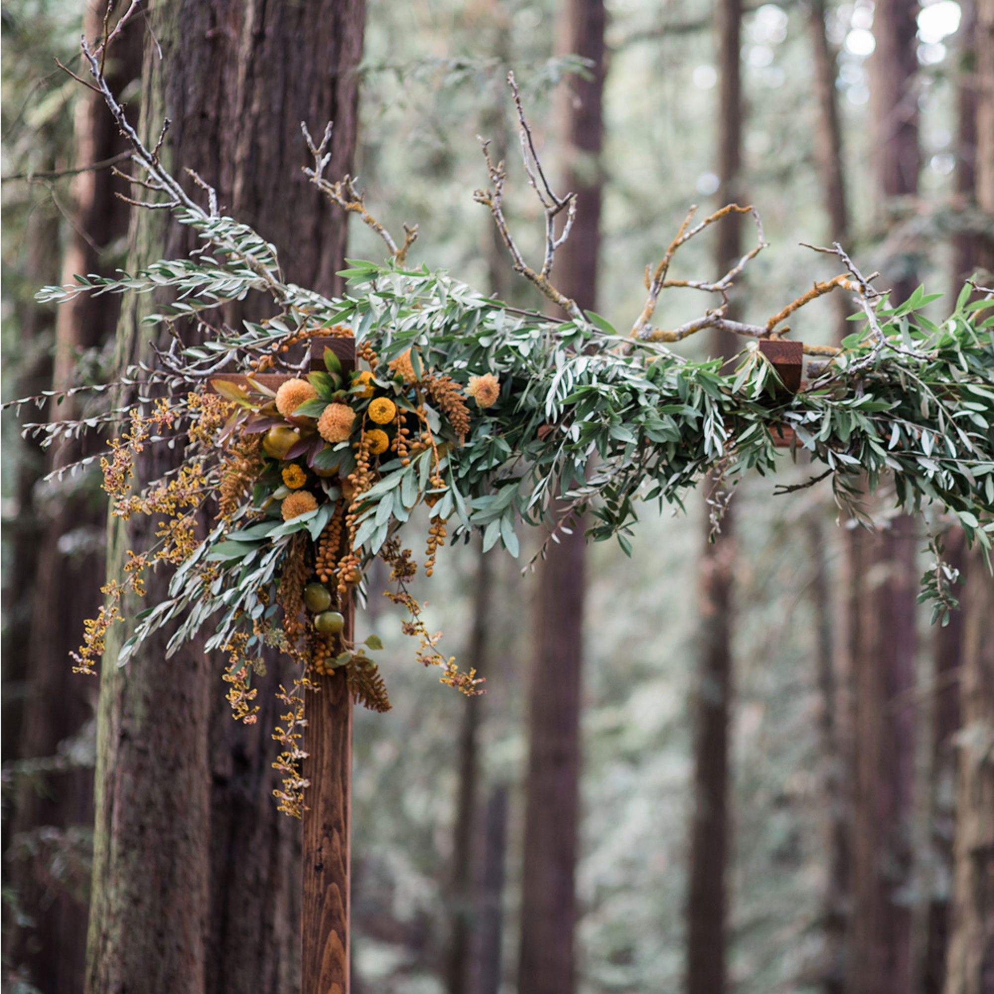 olive-fruit-and-fall-flower-chuppah
