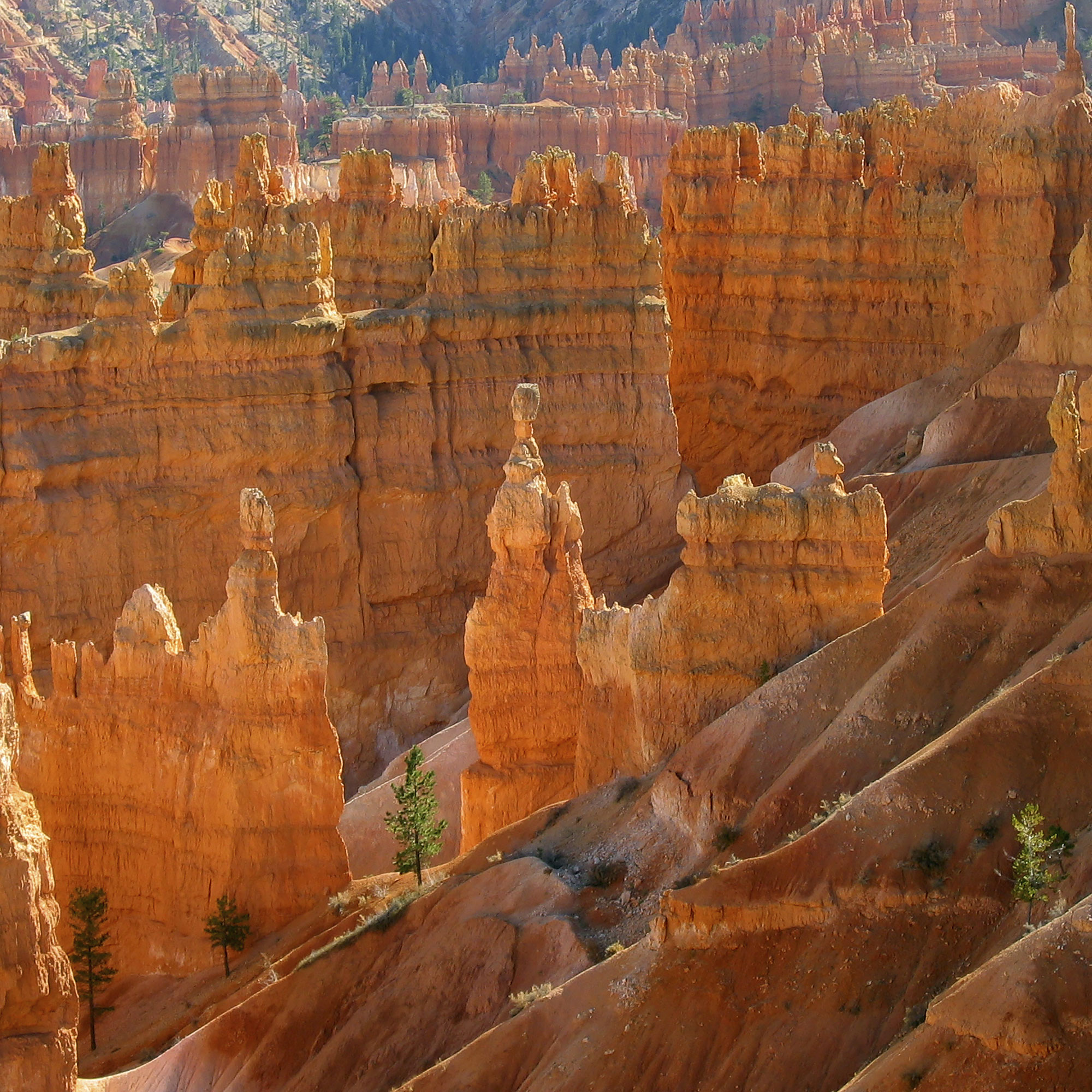 Bryce Canyon National Park Guide