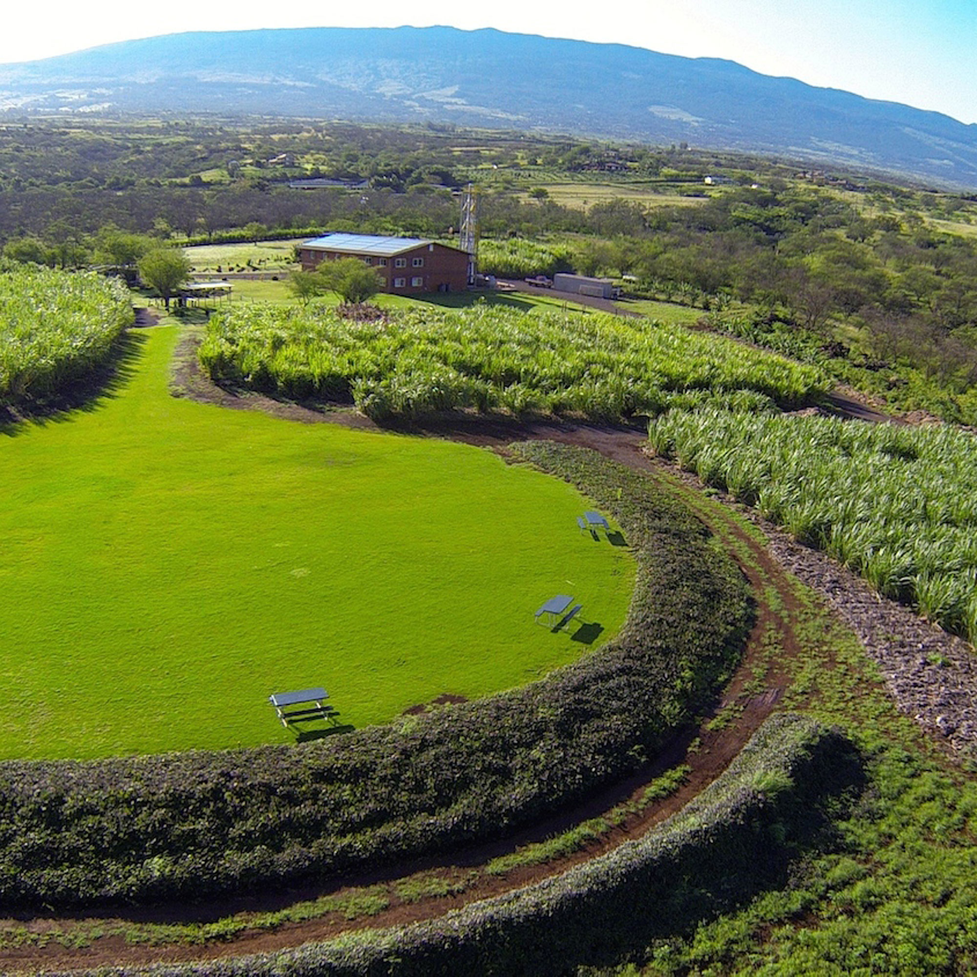 learn-about-libations