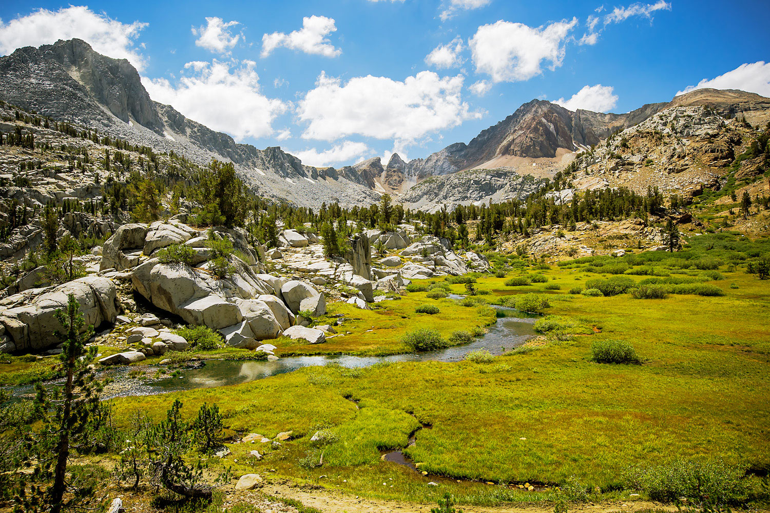 Usa California Sierra Nevada Bushes On Both Sides Of A Road Poster Print 18 X 6 【全品送料無料】