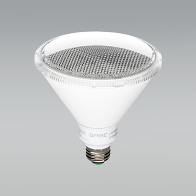 led-outdoor-floodlight