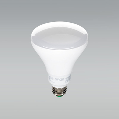 led-indoor-floodlight