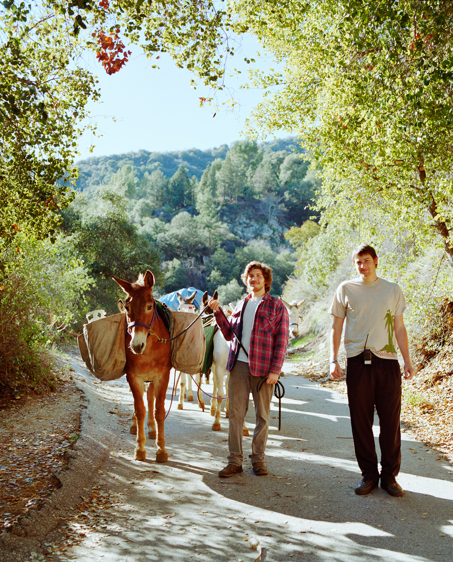 holiday-fun-in-sierra-madre