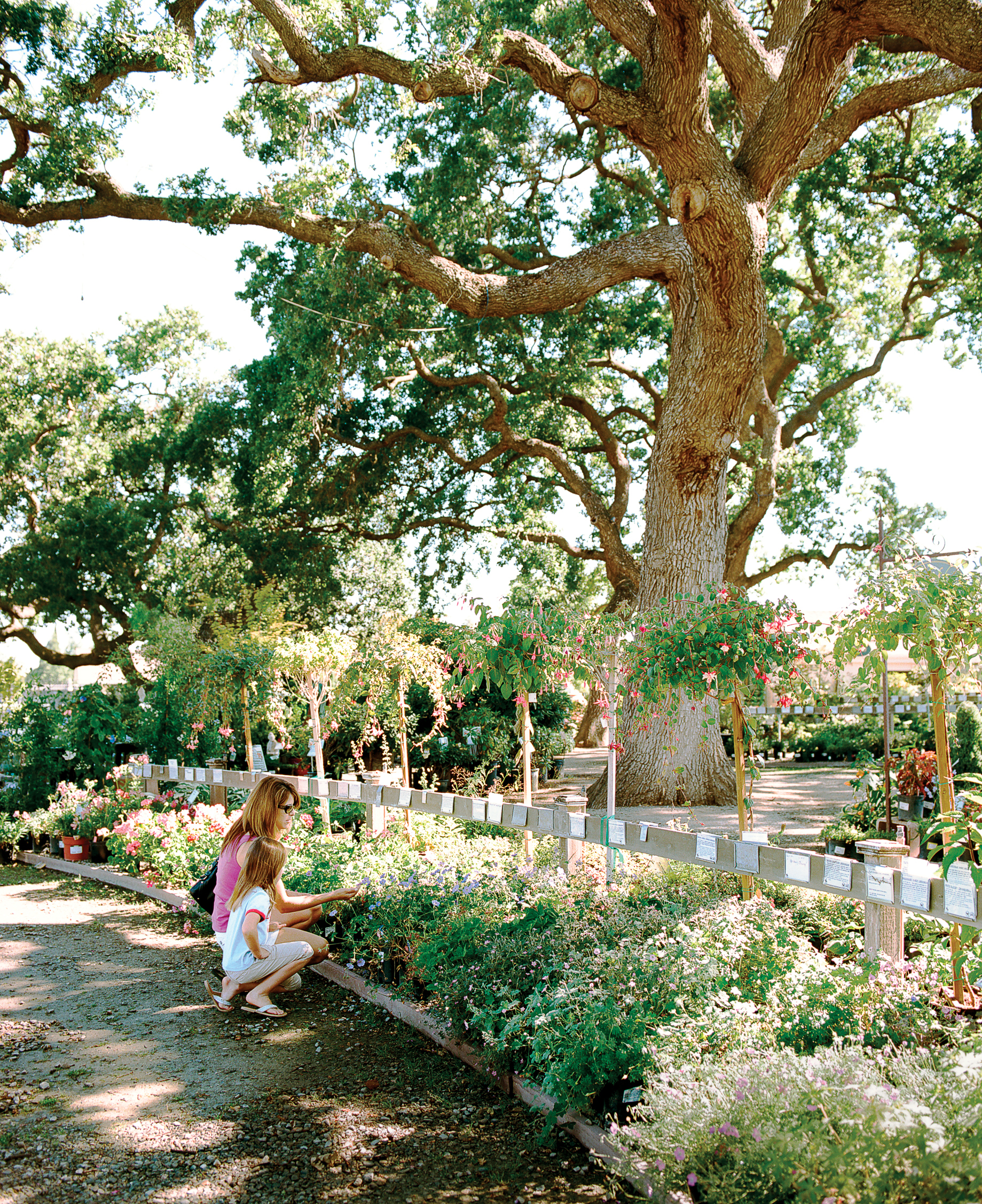 get-your-garden-in-gear