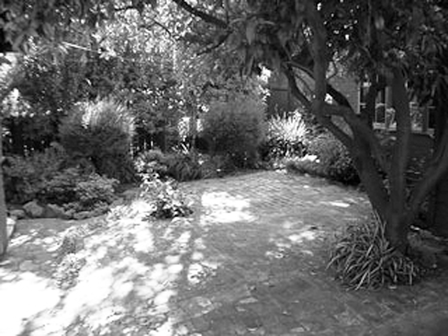 before-uncomfortable-backyard