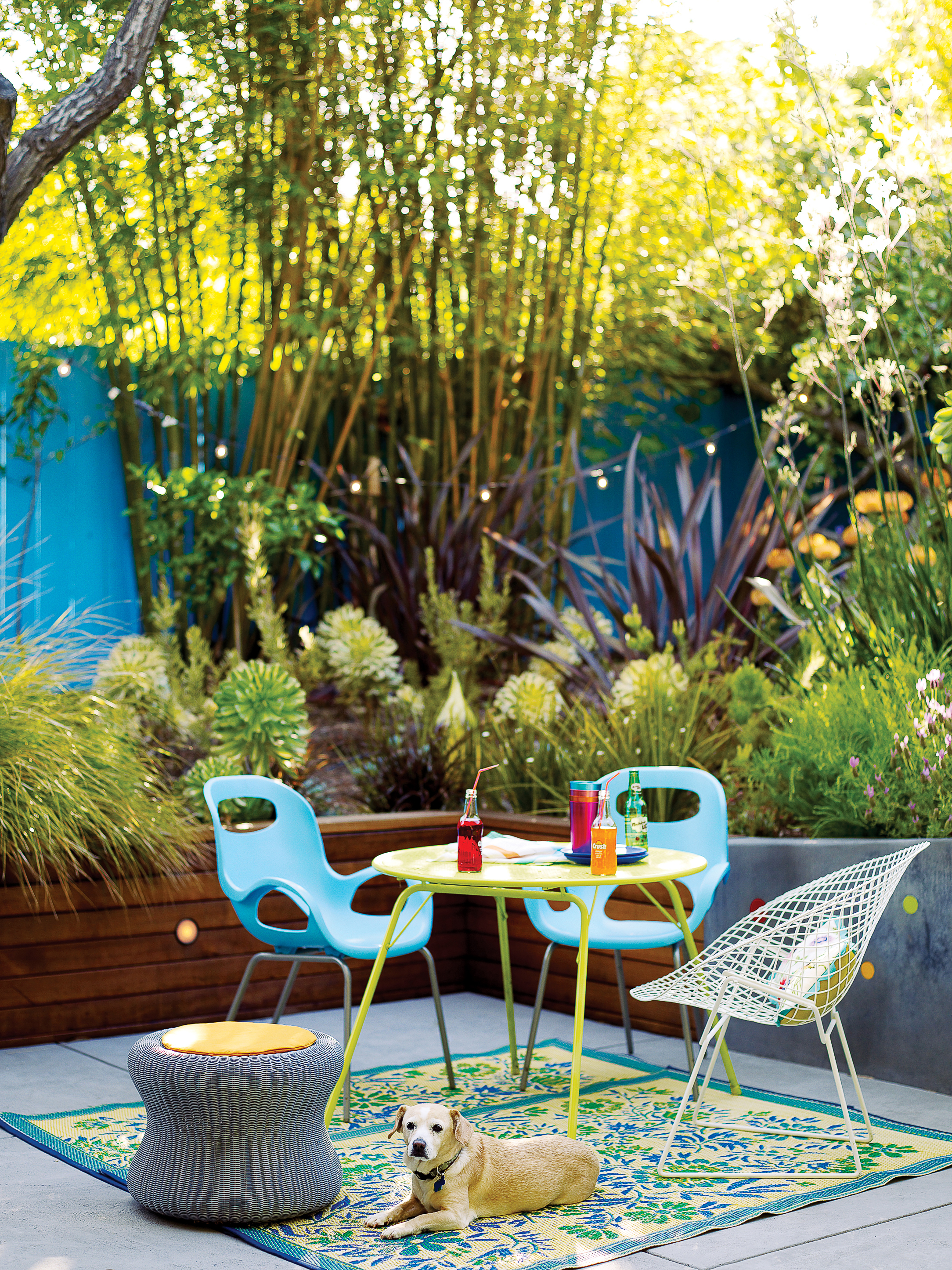 What's your backyard type?