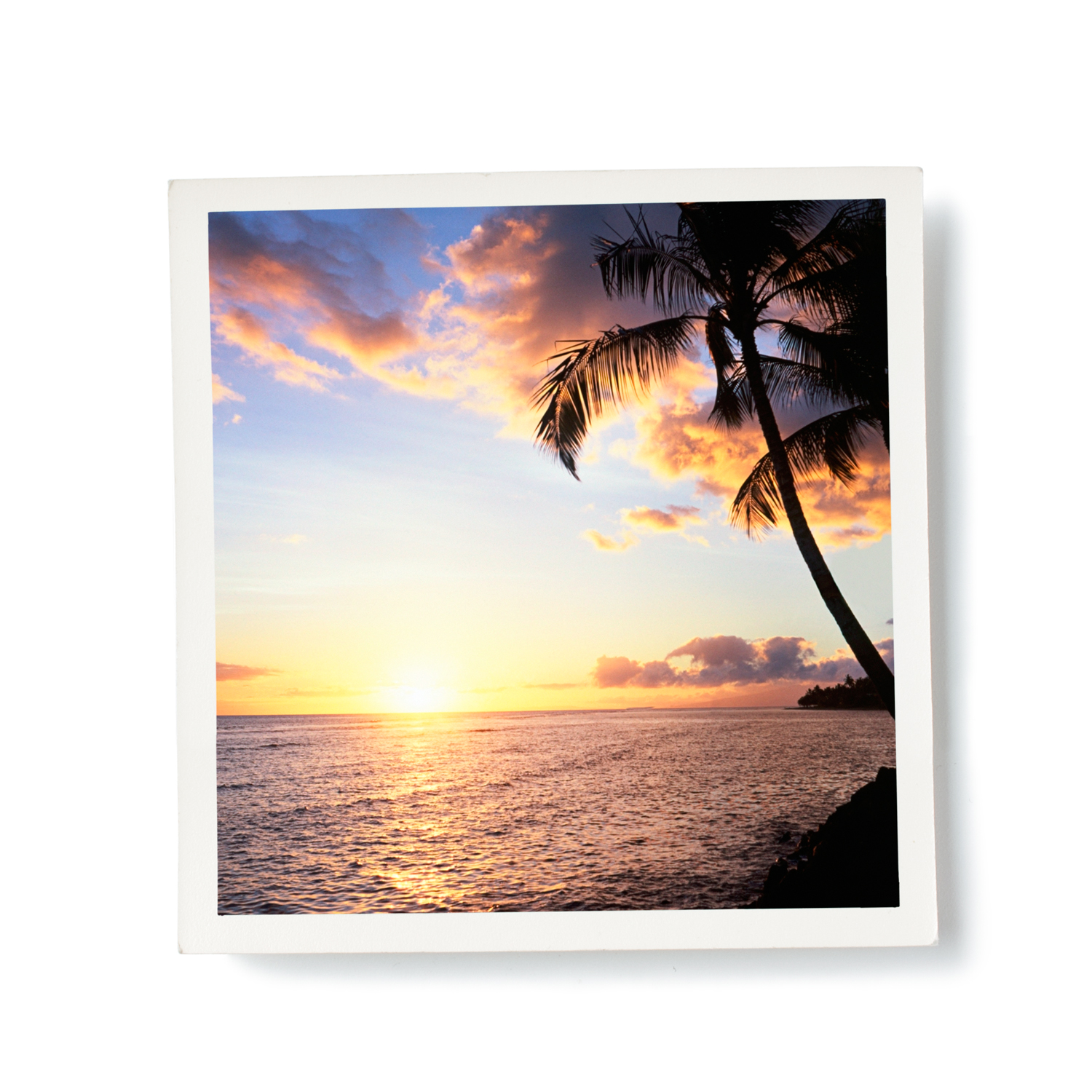 sohs-modern-pacific-style-inspiration