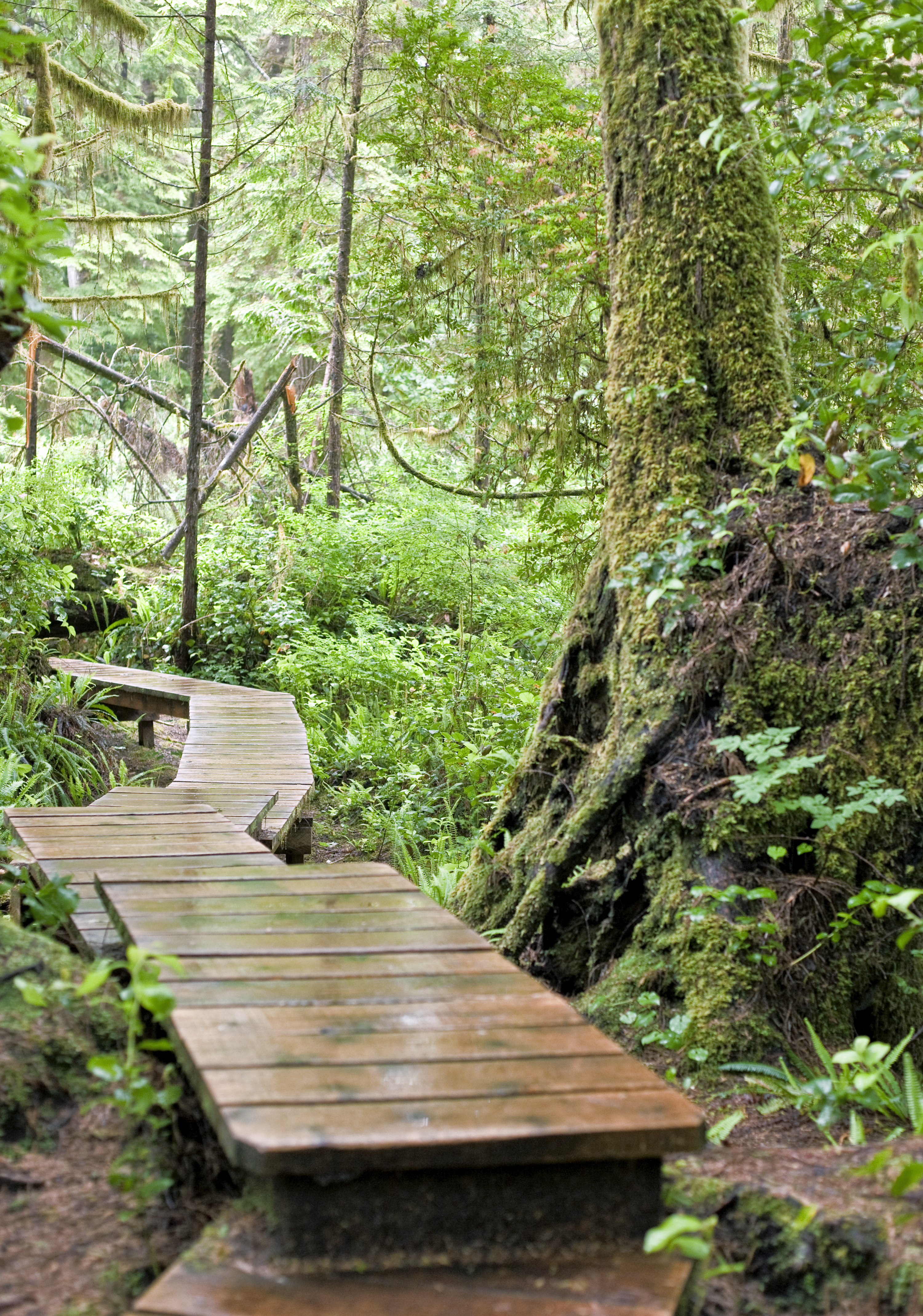 black-rock-oceanfront-resort-at-uclulet-vancouver-island-b-c