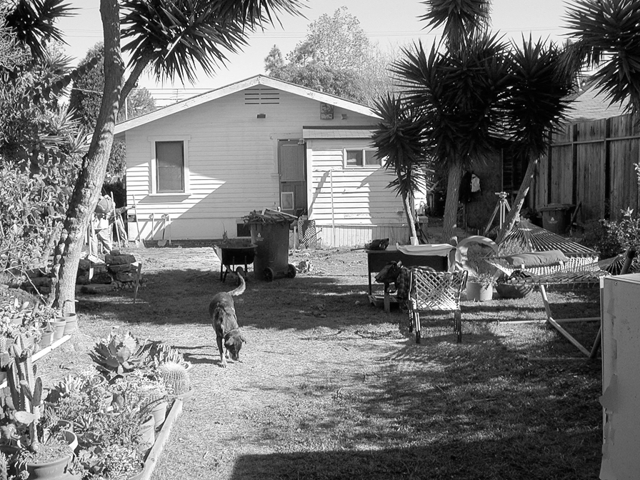 before-sunny-bungalow-addition