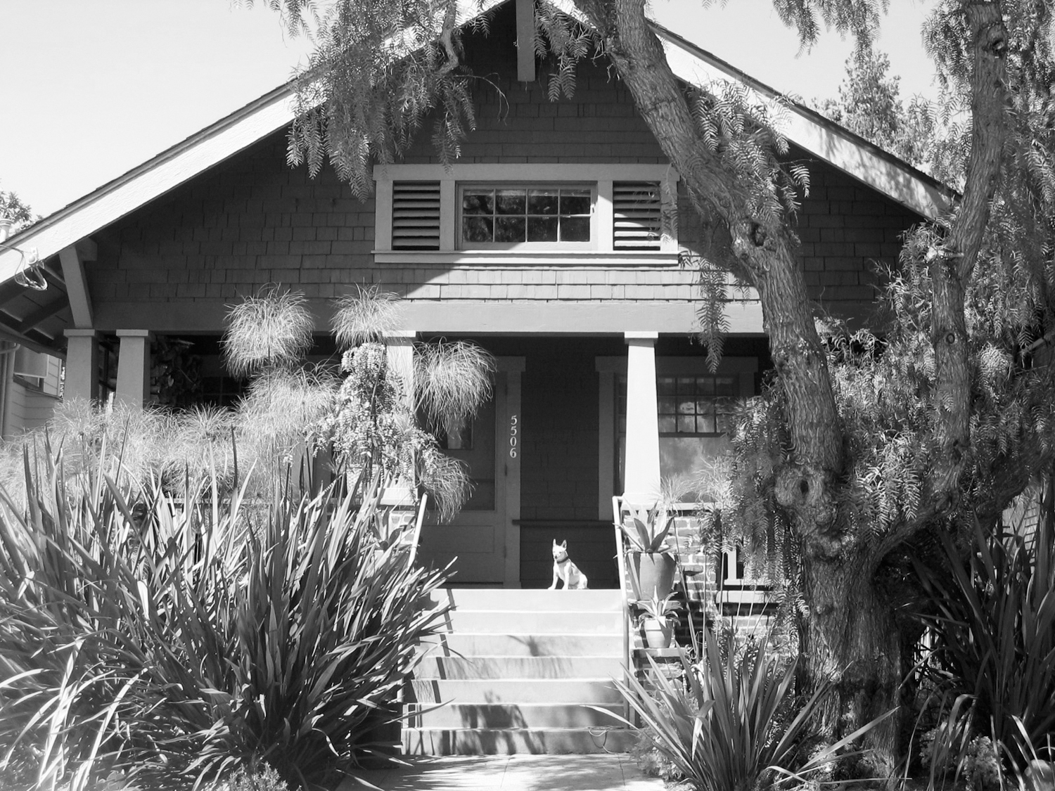 before-drab-bungalow