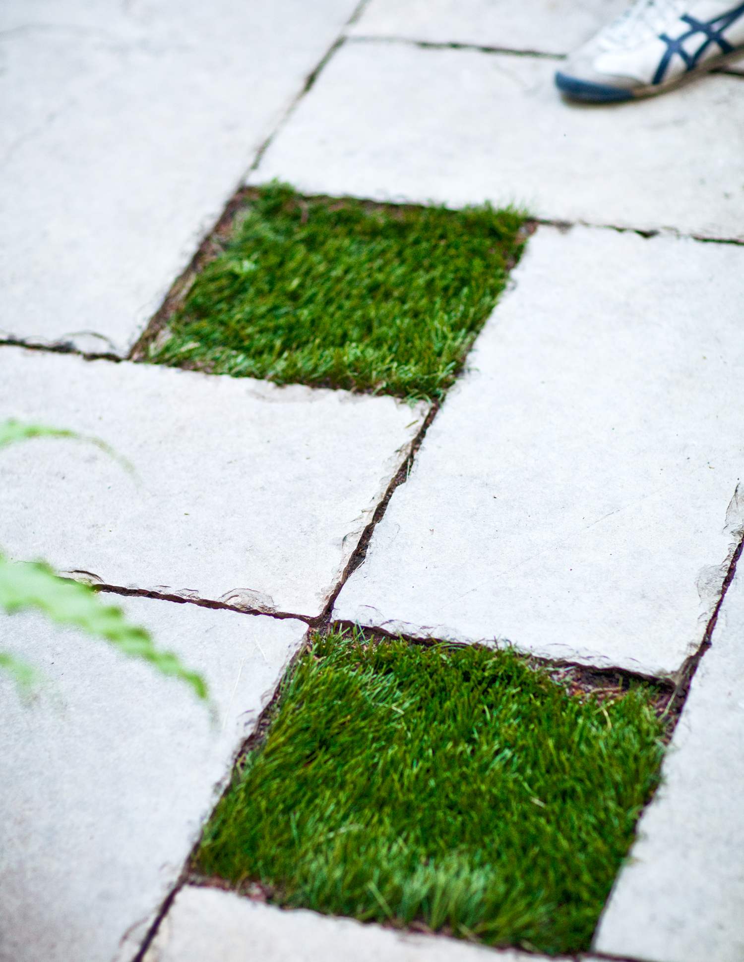 plus-lush-greens-and-hardscape