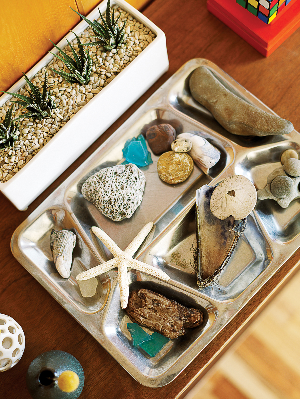 vintage-cafeteria-tray-becomes-collection-display