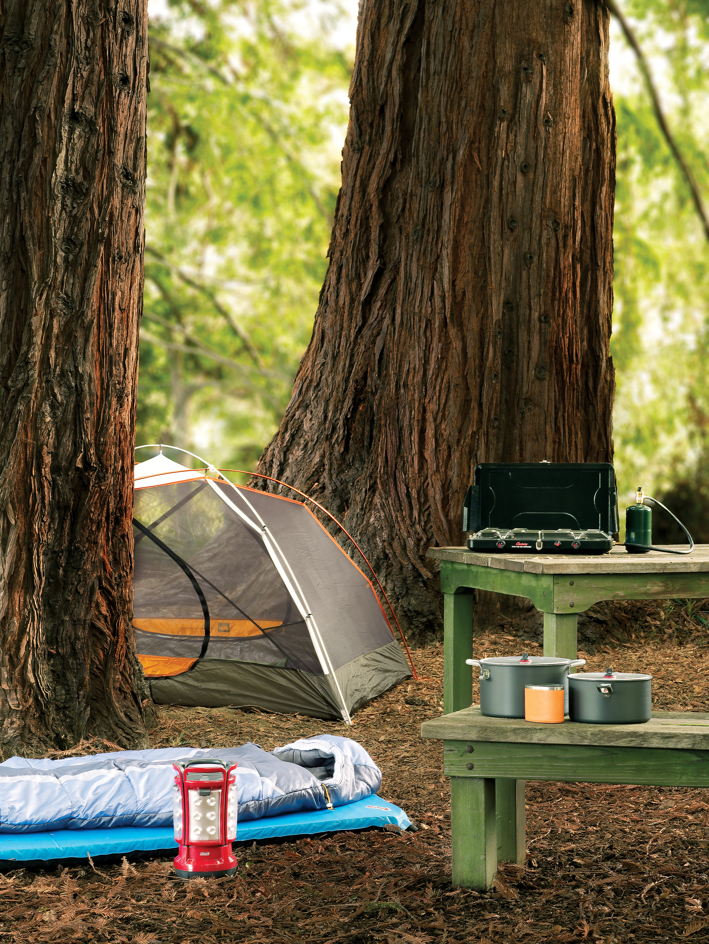 Top 12 Camping Tips