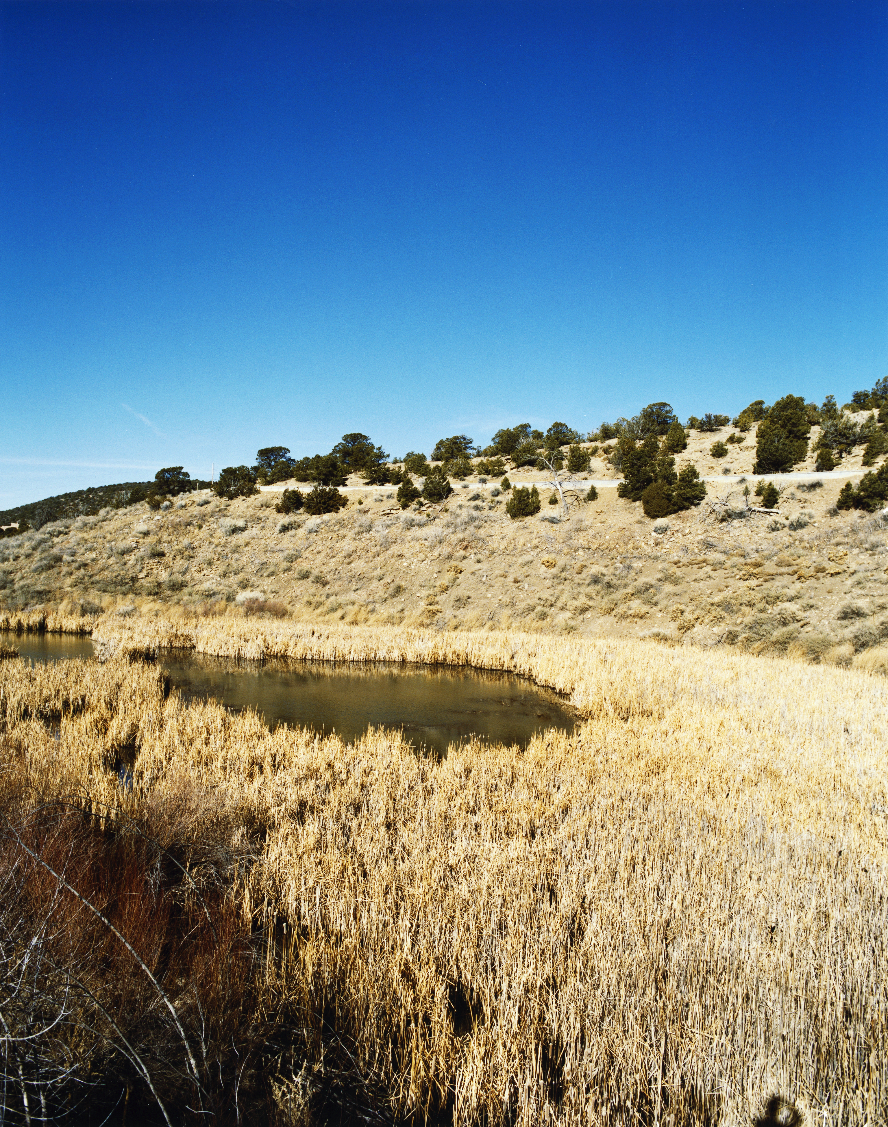 picaho-peak-trail-dale-ball-trails-santa-fe-nm