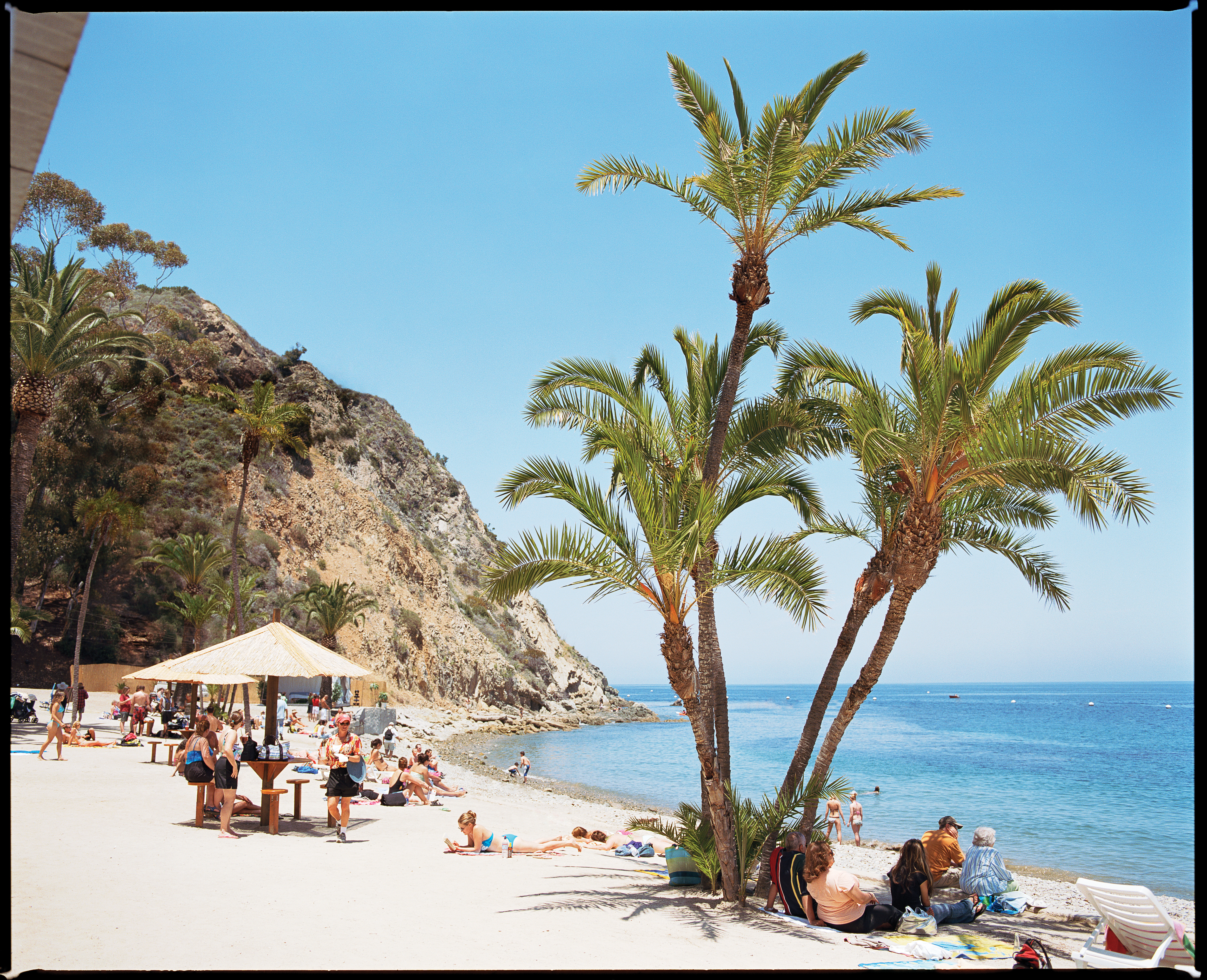 catch-a-boat-to-catalina