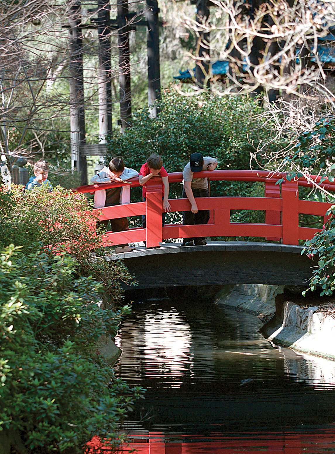 discover-botanic-splendor