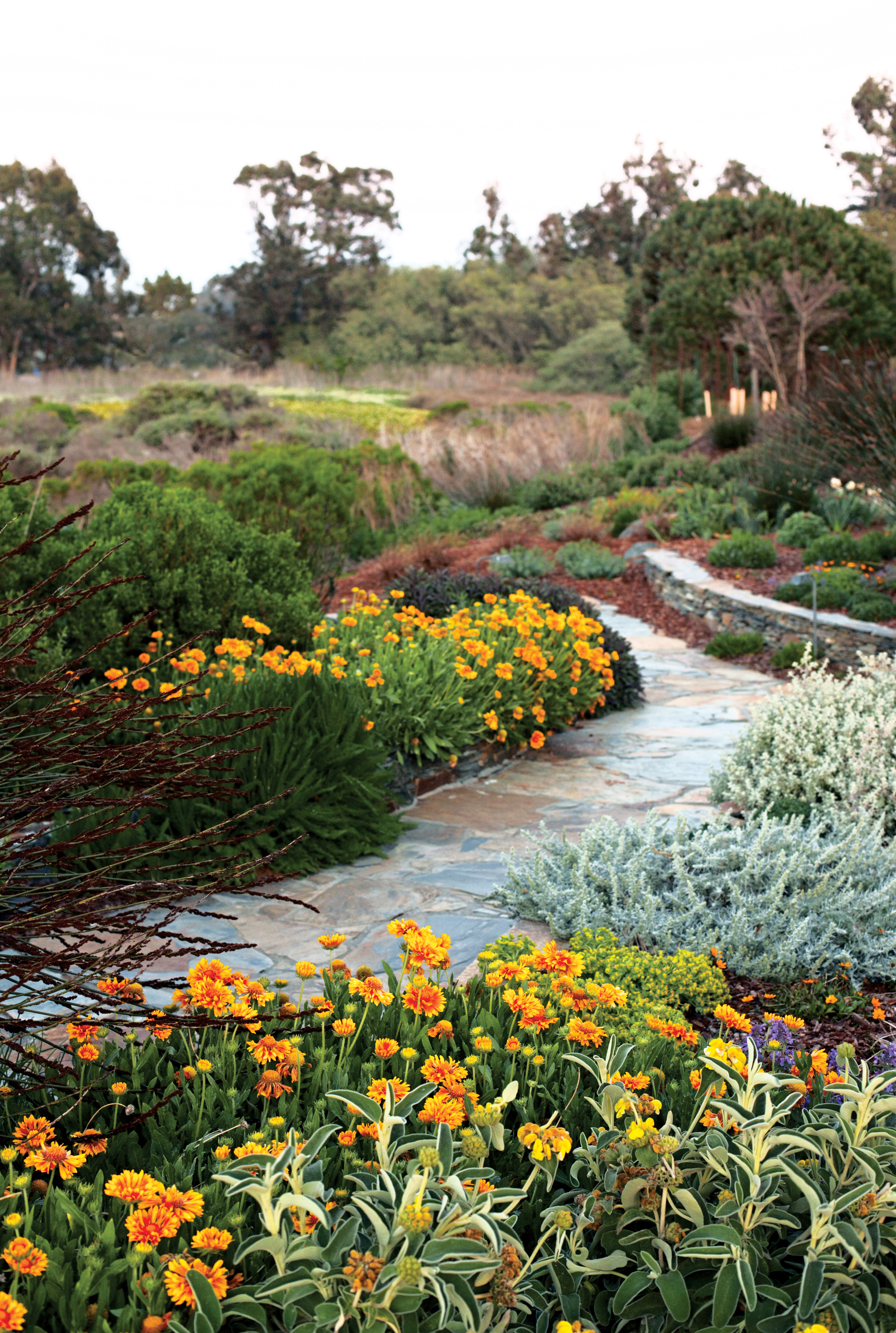 a-walk-through-color