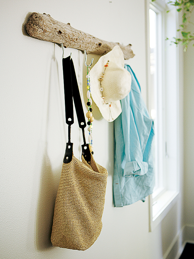 driftwood-coatrack