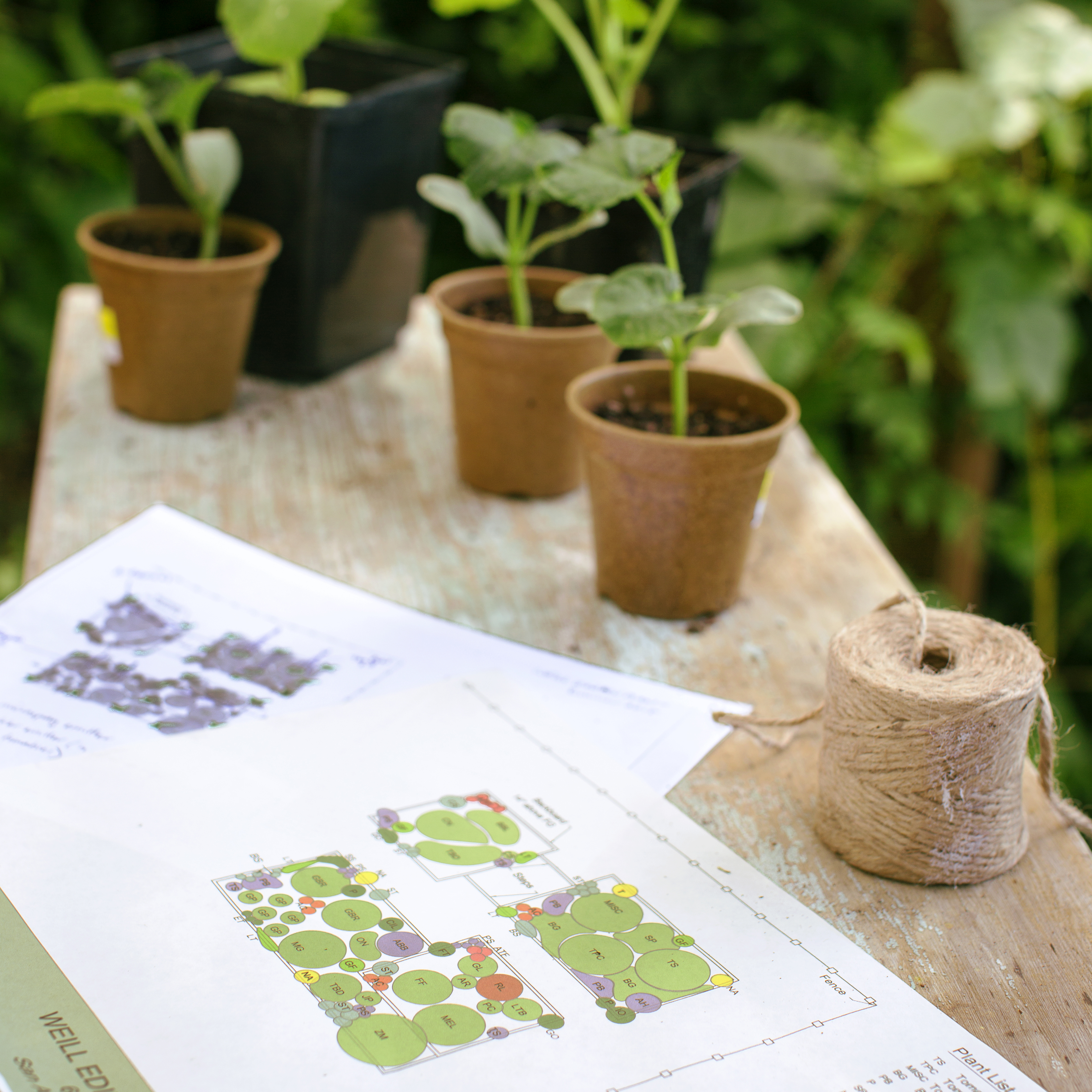 plan-for-beauty-and-bounty