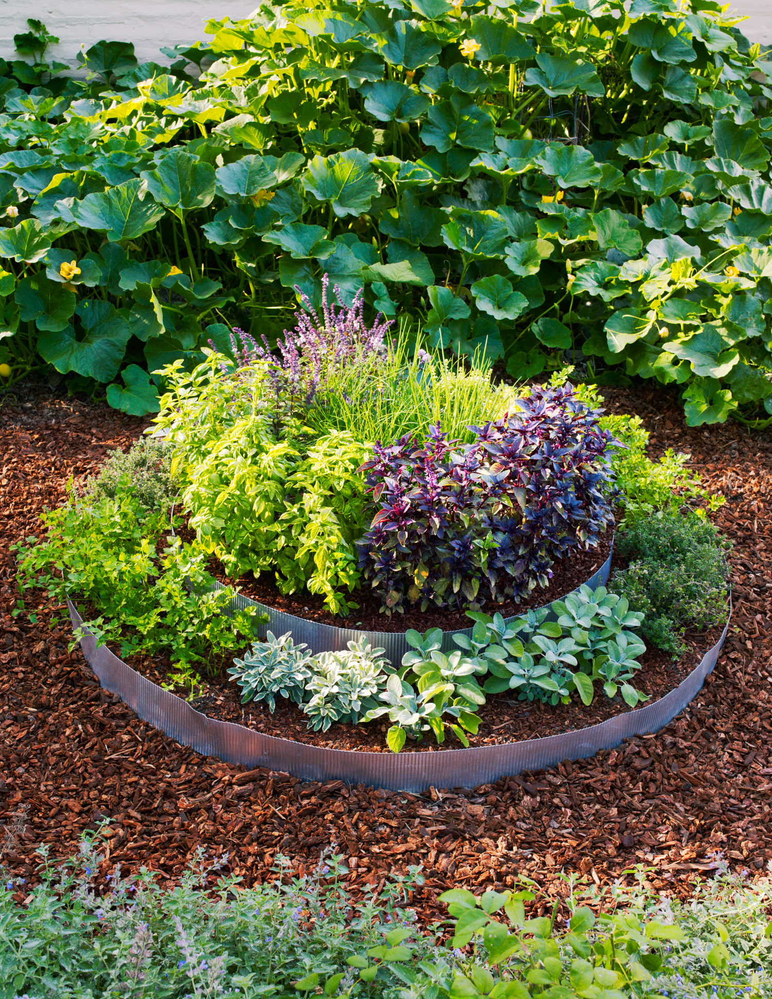 herbal garden layout